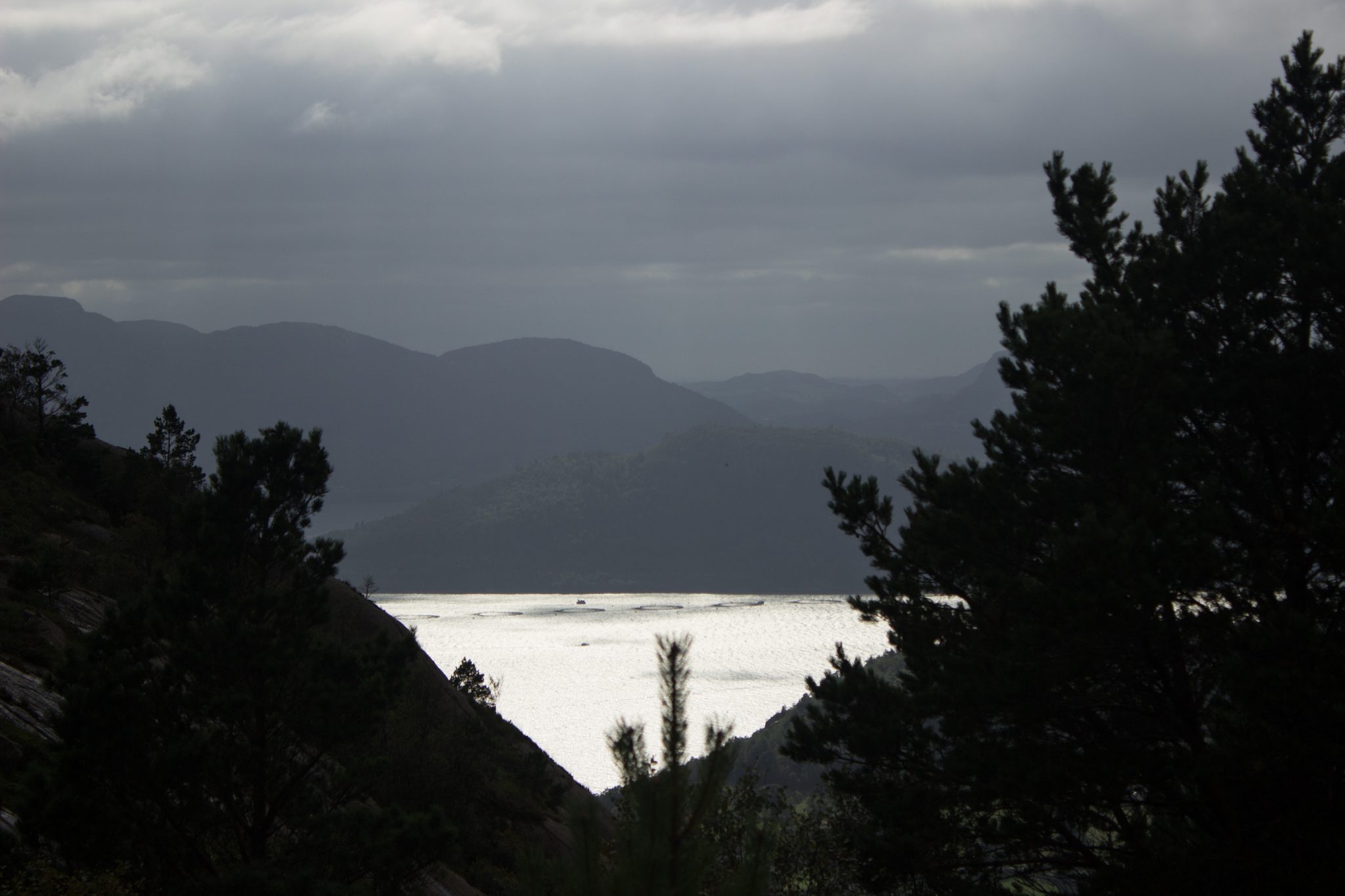 Wanderung beim Lysefjord mit Blick auf den Preikestolen, Startpunkt der Wanderung auf den Sokkaknuten ist beim Lysefjord Hyttegrend, Aussicht auf den Pulpit Rock, Aussicht auf die umliegende Fjordlandschaft und die Berge