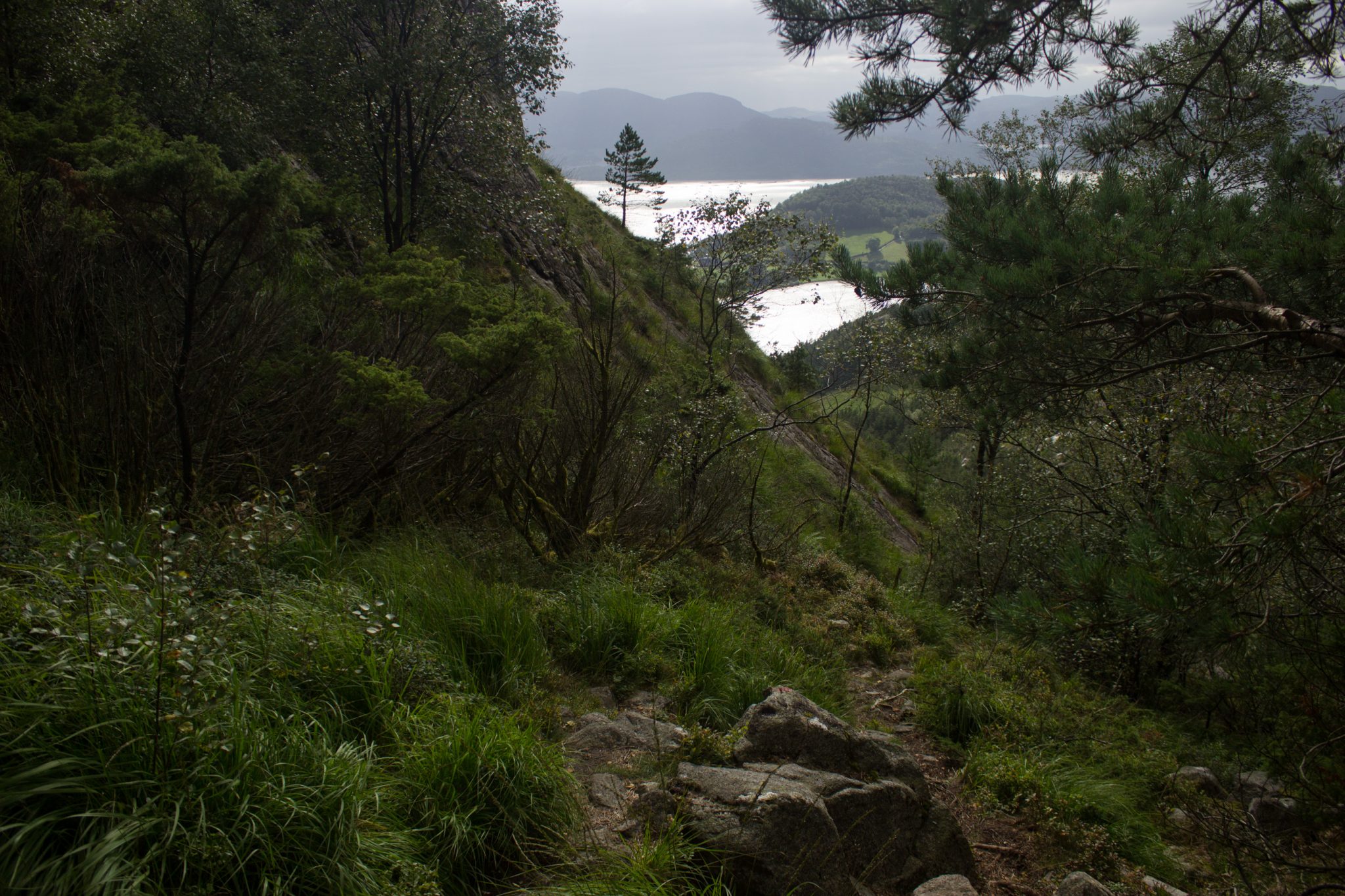 Wanderung beim Lysefjord mit Blick auf den Preikestolen, Startpunkt der Wanderung auf den Sokkaknuten ist beim Lysefjord Hyttegrend, Aussicht auf den Pulpit Rock, Wanderer unterwegs auf dem Wanderweg zum Sokkaknuten, Aussicht auf die umliegende Fjordlandschaft