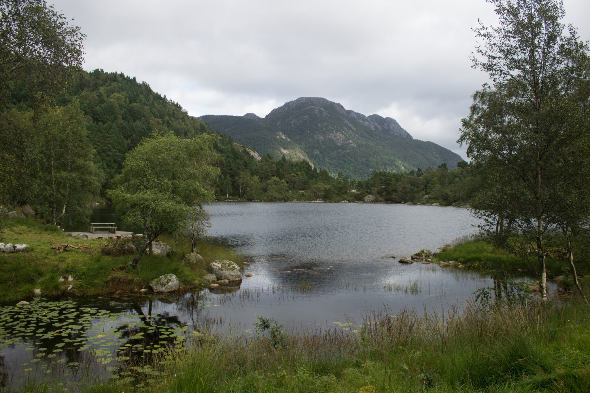 Wanderung beim Lysefjord mit Blick auf den Preikestolen, Startpunkt der Wanderung auf den Sokkaknuten ist beim Lysefjord Hyttegrend, Aussicht auf den Pulpit Rock, Wanderer unterwegs auf dem Wanderweg zurück vom Sokkaknuten, dichte grüne Vegetation, Blick auf einen kleinen See