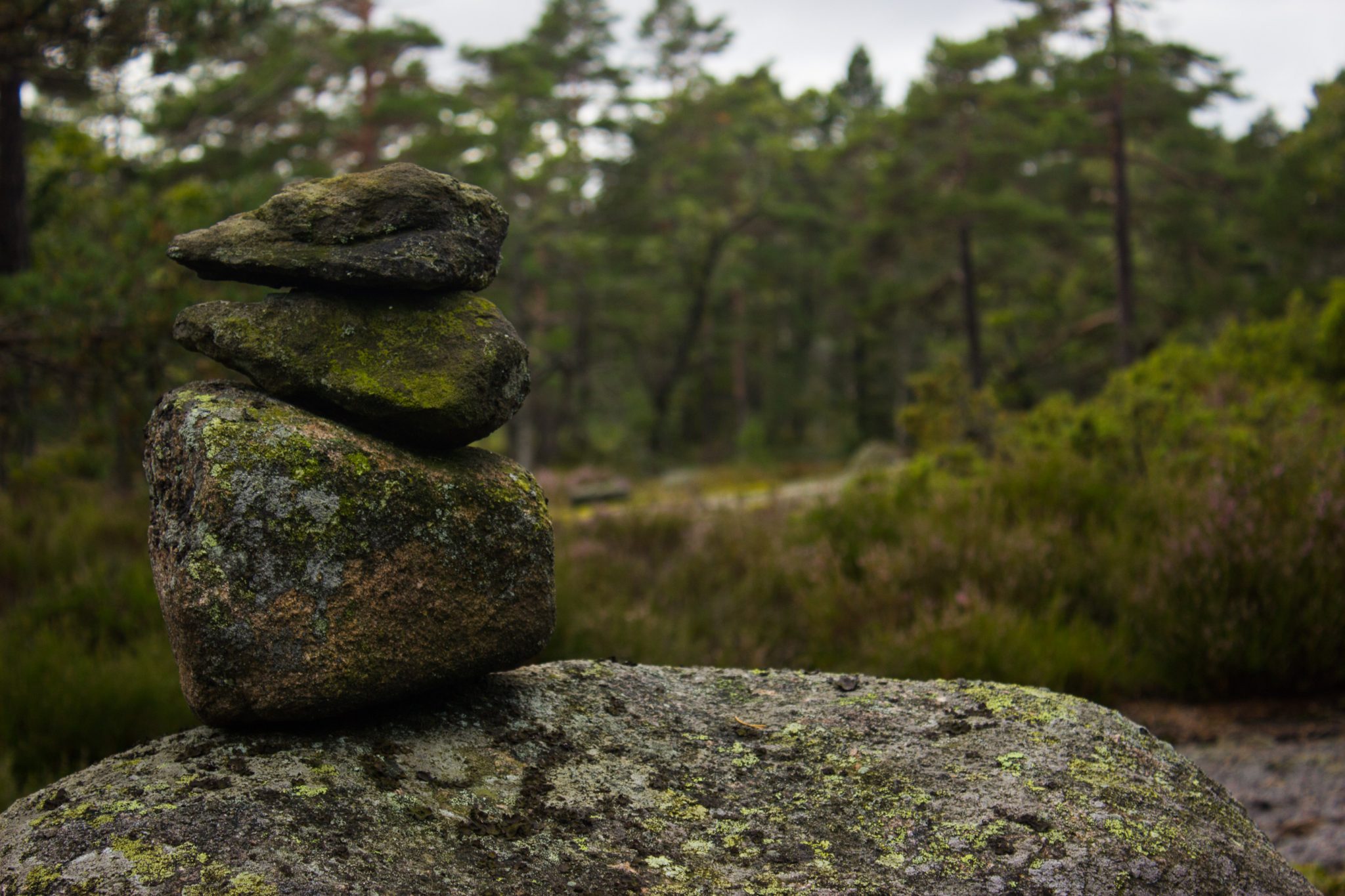 Wanderung im Rossefjellet Naturreservat - Teil der Rundwanderung bei Grimstad in Südnorwegen, unterwegs in der Natur, Wald wandelt sich in andere Richtung des Wanderweges in eine Heidelandschaft, Steine übereinander gestapelt