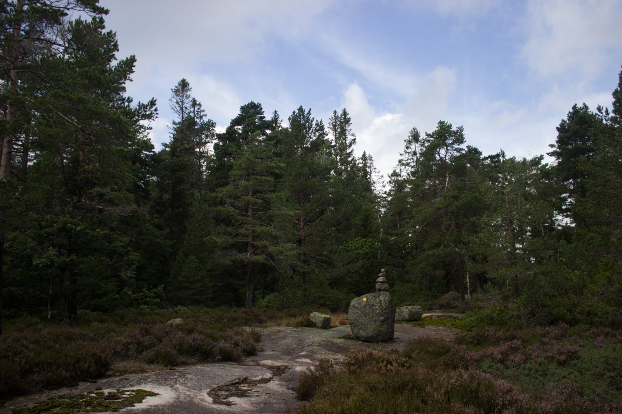 Wanderung im Rossefjellet Naturreservat - Teil der Rundwanderung bei Grimstad in Südnorwegen, unterwegs in der Natur, Wald wandelt sich in andere Richtung des Wanderweges in eine Heidelandschaft, Steine übereinander gestapelt, Vegetation verändert sich