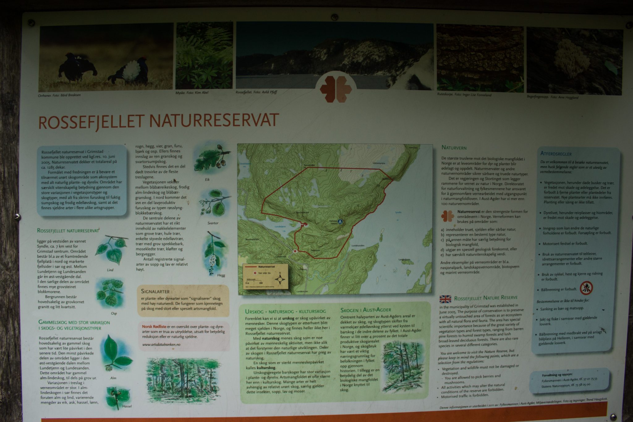 Wanderung im Rossefjellet Naturreservat - Teil der Rundwanderung bei Grimstad in Südnorwegen, Schild mit Informationen zum Rossefjellet Naturreservat