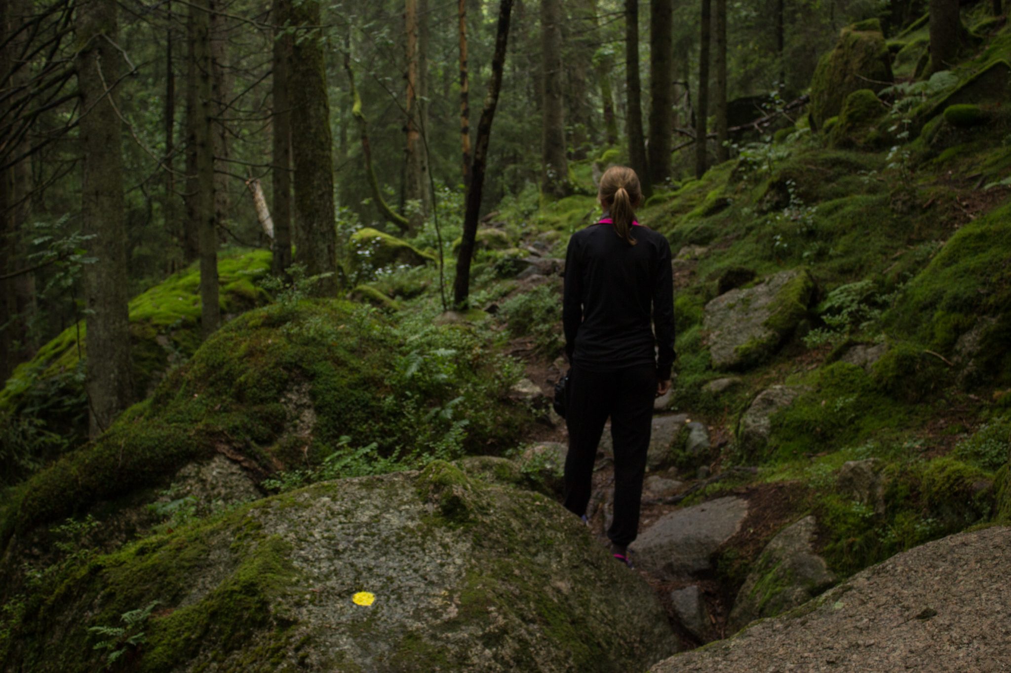 Wanderung im Rossefjellet Naturreservat - Teil der Rundwanderung bei Grimstad in Südnorwegen, Wanderer unterwegs im schönen Wald, moosbewachsene Felsen, naturbelassen, kaum andere Wanderer unterwegs, dichte Vegetation, unterwegs in der Natur, Markierung des Weges in gelber Farbe