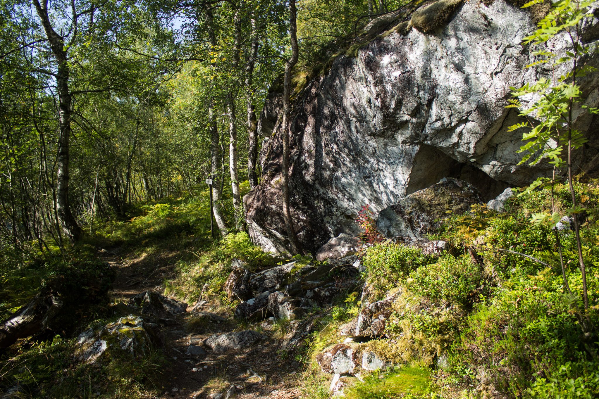 Wanderung in Stalheim nach Nali, Start in der Nähe des Stalheim Hotels, Aussicht auf das Tal Nærøydal mit hohen Bergen zu beiden Seiten, Wanderweg durch schönen Wald mit Farnen