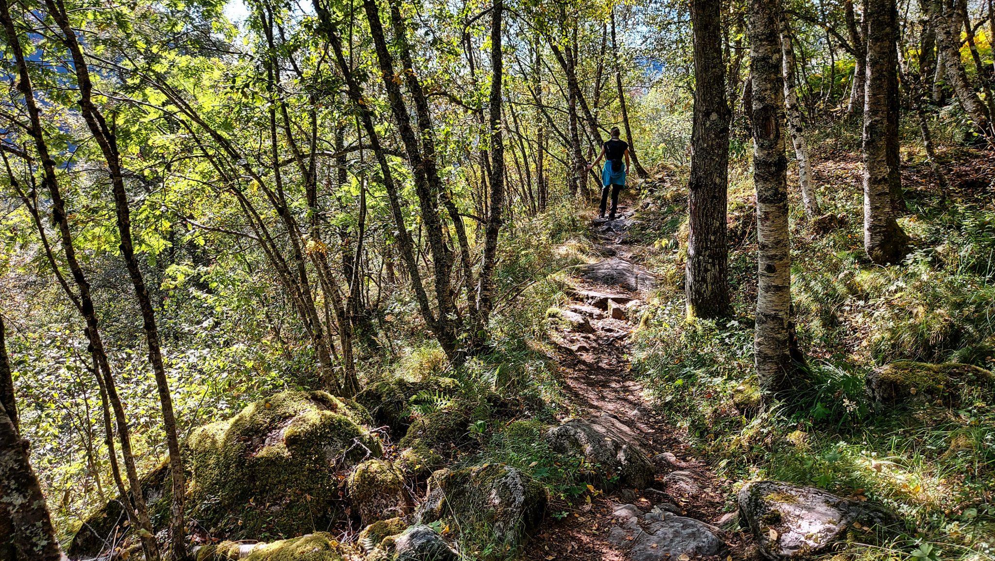 Wanderung in Stalheim nach Nali, Start in der Nähe des Stalheim Hotels, Aussicht auf das Tal Nærøydal mit hohen Bergen zu beiden Seiten, Wanderweg durch schönen Wald mit Farnen