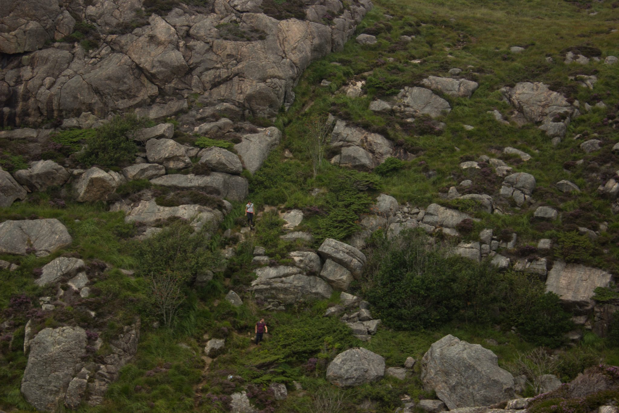 Wanderungen beim Kap Lindesnes, südlichster Punkt Norwegens, am Südkap in Norwegen, Wanderer unterwegs auf schmalem Pfad entlang großer Felsen, grüne Vegetation an der Küste, Heidelandschaft