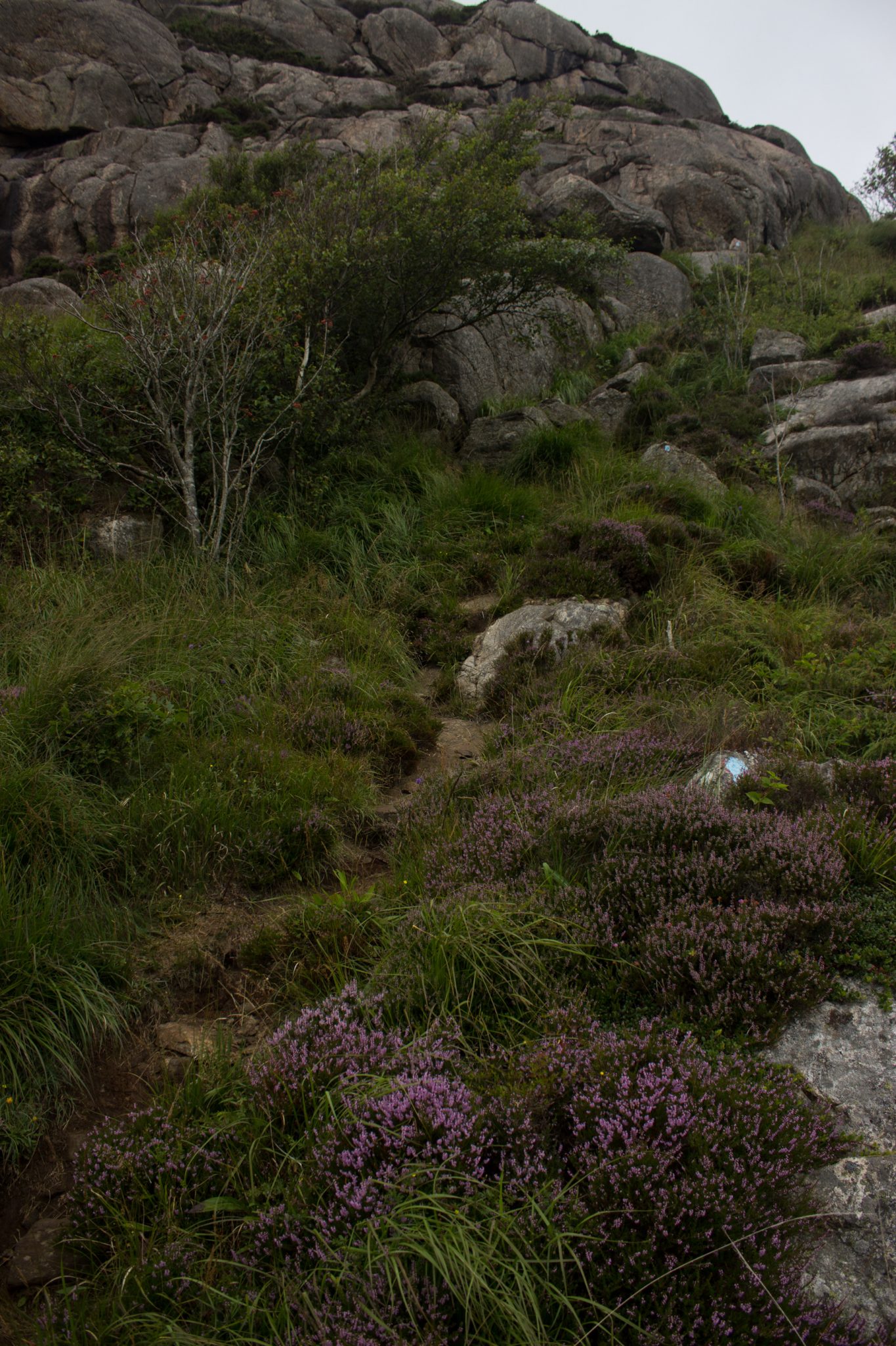 Wanderungen beim Kap Lindesnes, südlichster Punkt Norwegens, am Südkap in Norwegen, Wanderer unterwegs auf schmalem Pfad entlang großer Felsen, grüne Vegetation an der Küste, Heidelandschaft, Aussicht auf das weite Meer