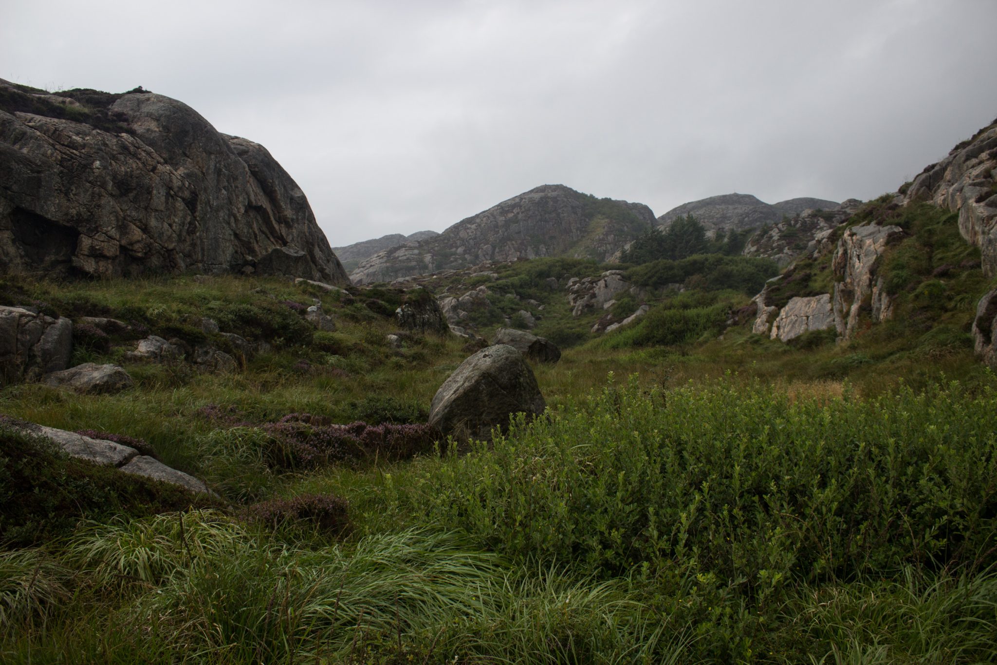 Wanderungen beim Kap Lindesnes, südlichster Punkt Norwegens, am Südkap in Norwegen, Wanderer unterwegs auf schmalem Pfad entlang großer Felsen, grüne Vegetation an der Küste, Heidelandschaft, Aussicht auf die kleinen Hügel an der Küste