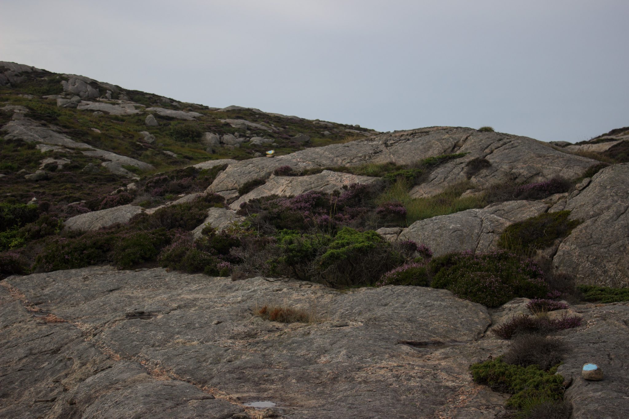 Wanderungen beim Kap Lindesnes, südlichster Punkt Norwegens, Leuchtturm Lindesnes Fyr am Südkap in Norwegen, Wanderer unterwegs auf schmalem Pfad entlang und über große Felsen, grüne Vegetation an der Küste, Heidelandschaft