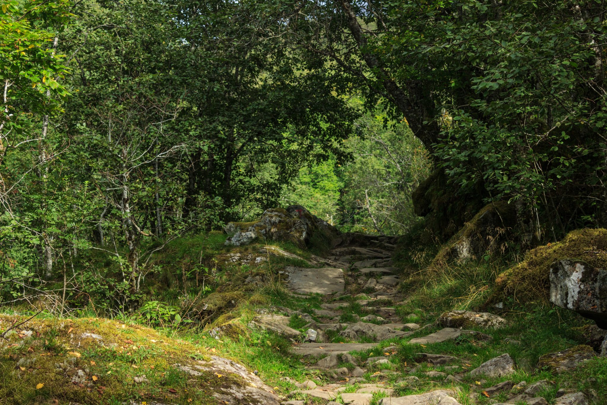 Traumhafte Talwanderung bei der Sognefjellet Road im Morkridsdalen beim Ort Skjolden, Rundwanderung Liane Knivabakkli, Wandern in Norwegen