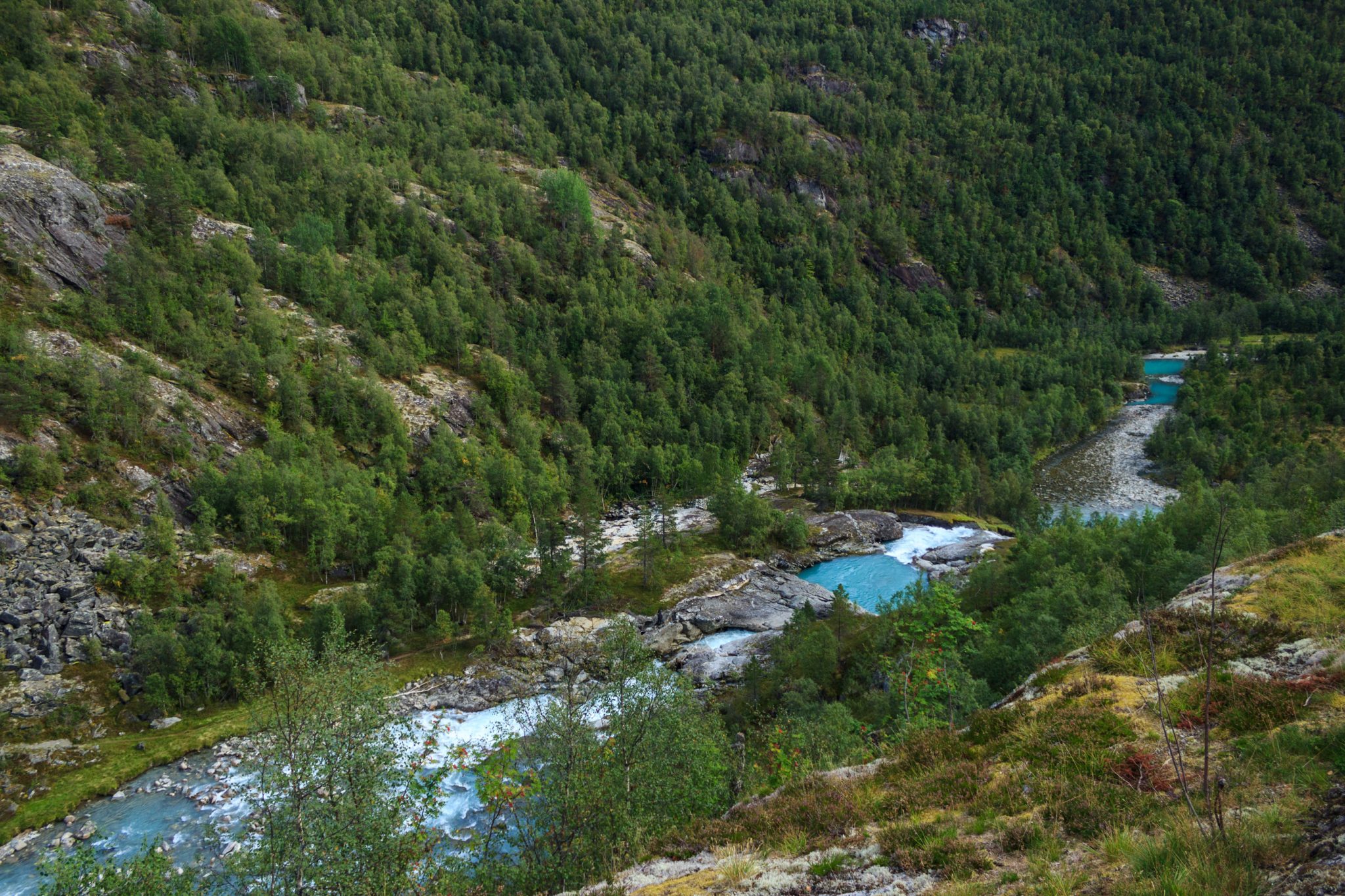 Traumhafte Talwanderung bei der Sognefjellet Road im Morkridsdalen beim Ort Skjolden, Rundwanderung Liane Knivabakkli, Wandern in Norwegen, am türkisblauen Fluss entlang, umgeben von Wald und Bergen