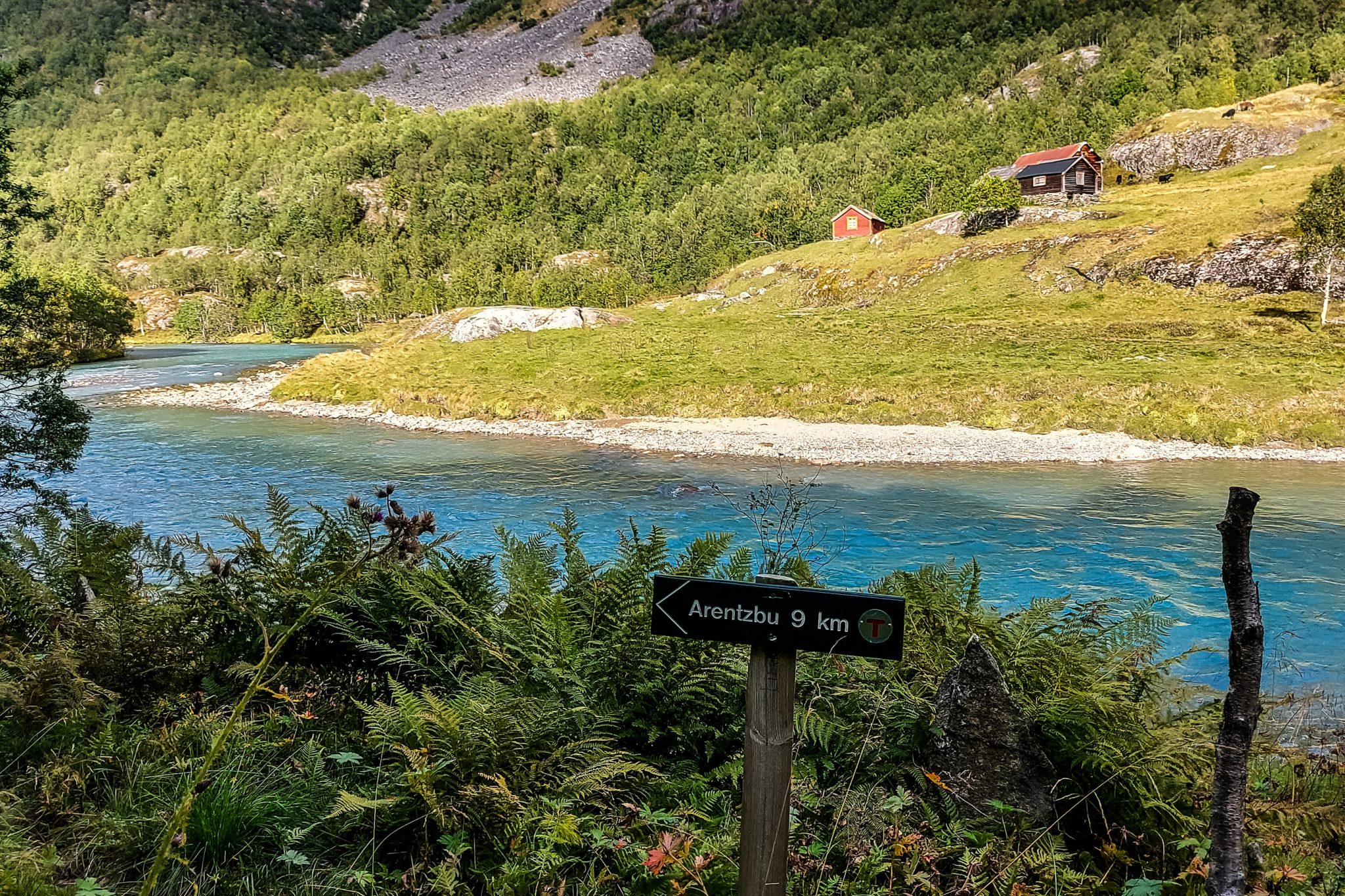 Traumhafte Talwanderung bei der Sognefjellet Road im Morkridsdalen beim Ort Skjolden, Rundwanderung Liane Knivabakkli, Wandern in Norwegen, am türkisblauen Fluss entlang, umgeben von Wald und Bergen