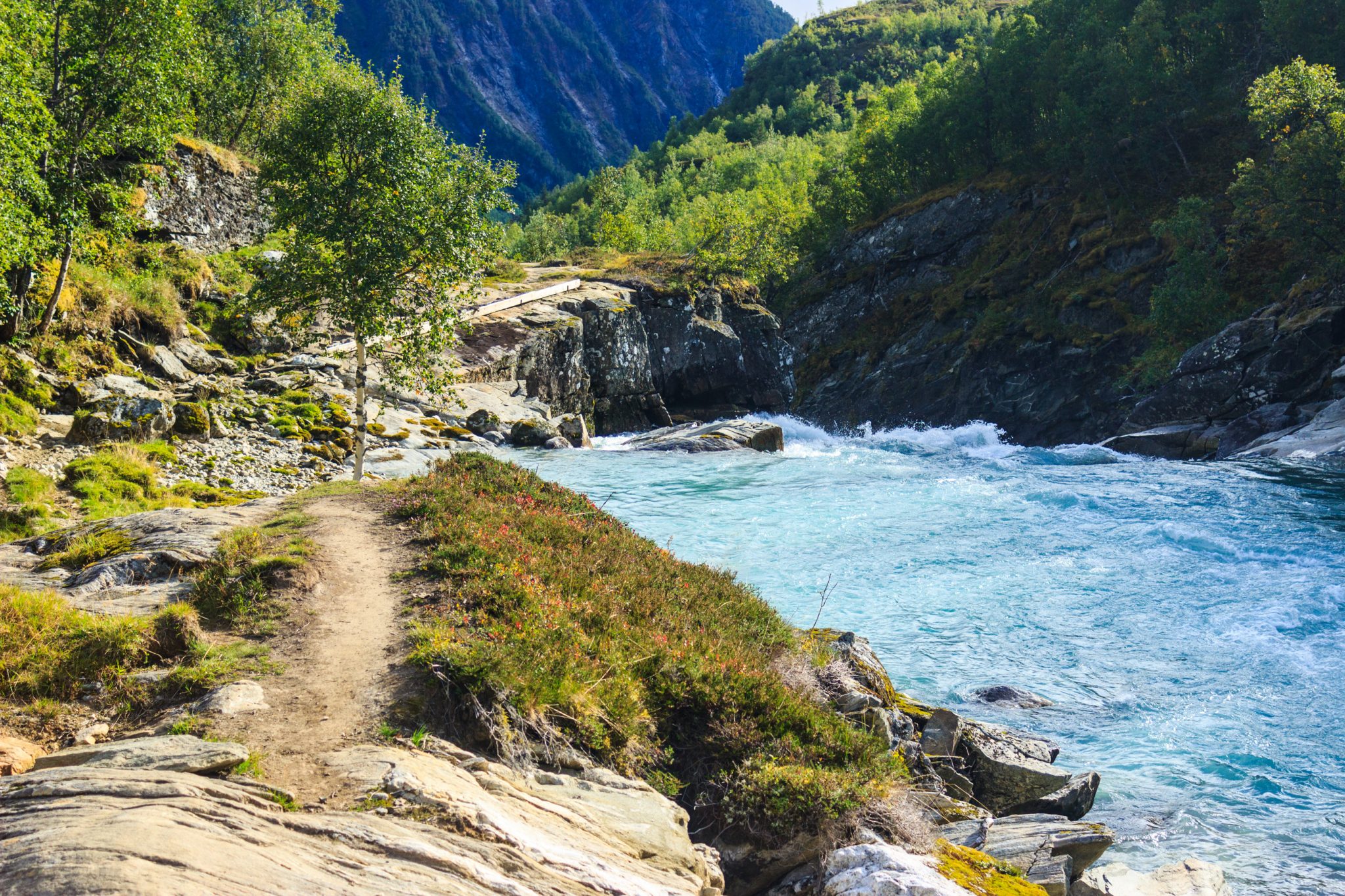 Traumhafte Talwanderung bei der Sognefjellet Road im Morkridsdalen beim Ort Skjolden, Rundwanderung Liane Knivabakkli, Wandern in Norwegen, am türkisblauen Fluss entlang, umgeben von Wald und Bergen