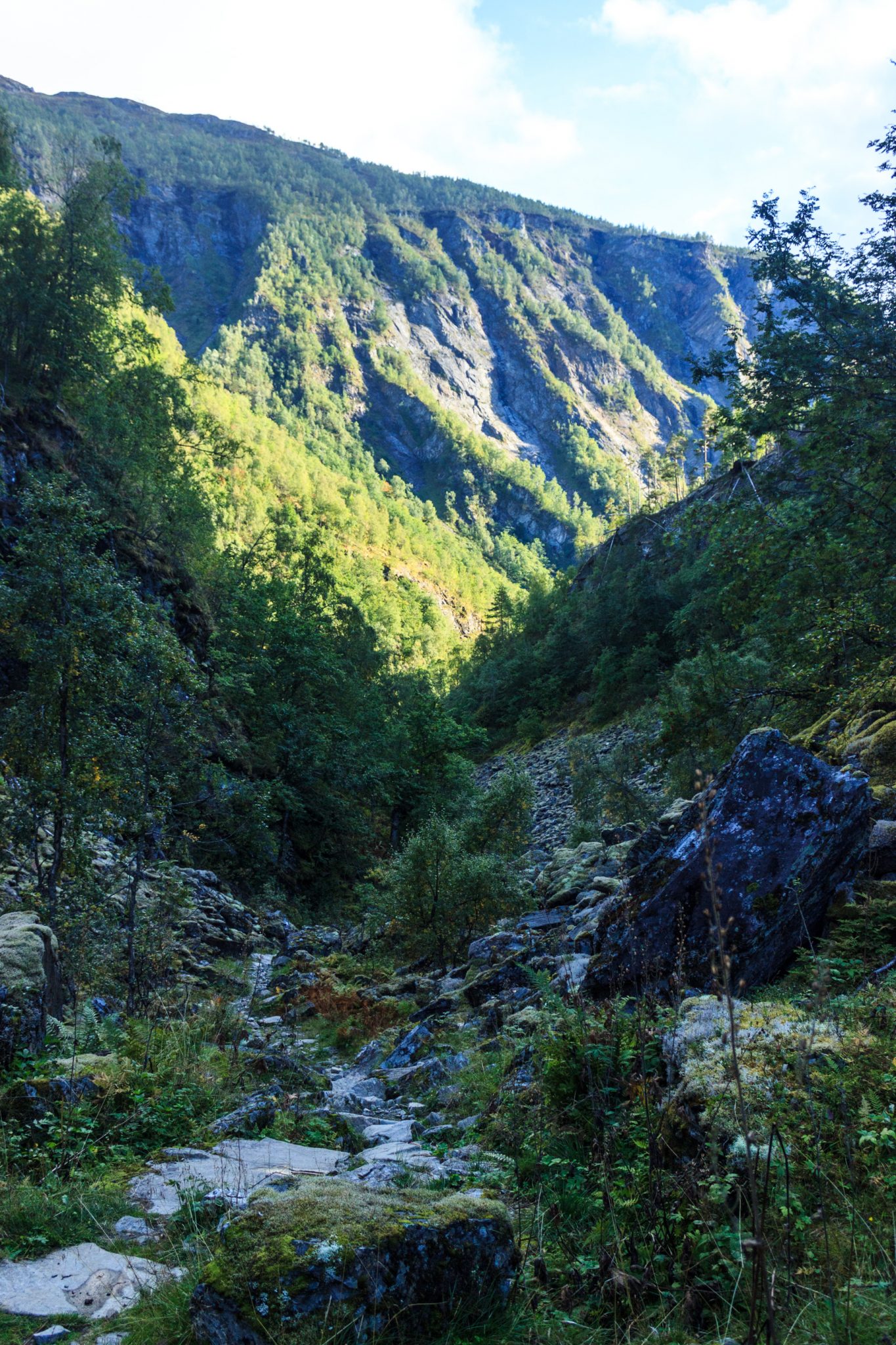 Traumhafte Talwanderung bei der Sognefjellet Road im Morkridsdalen beim Ort Skjolden, Rundwanderung Liane Knivabakkli, Wandern in Norwegen, am türkisblauen Fluss und Wasserfall entlang, umgeben von Wald und Bergen