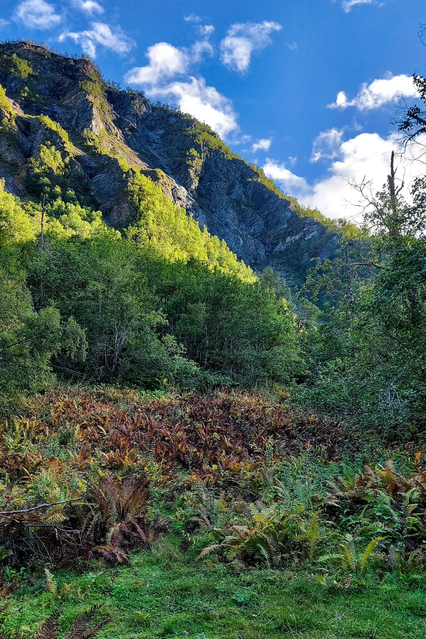 Traumhafte Talwanderung bei der Sognefjellet Road im Morkridsdalen beim Ort Skjolden, Rundwanderung Liane Knivabakkli, Wandern in Norwegen, Blick auf Wald und Berge