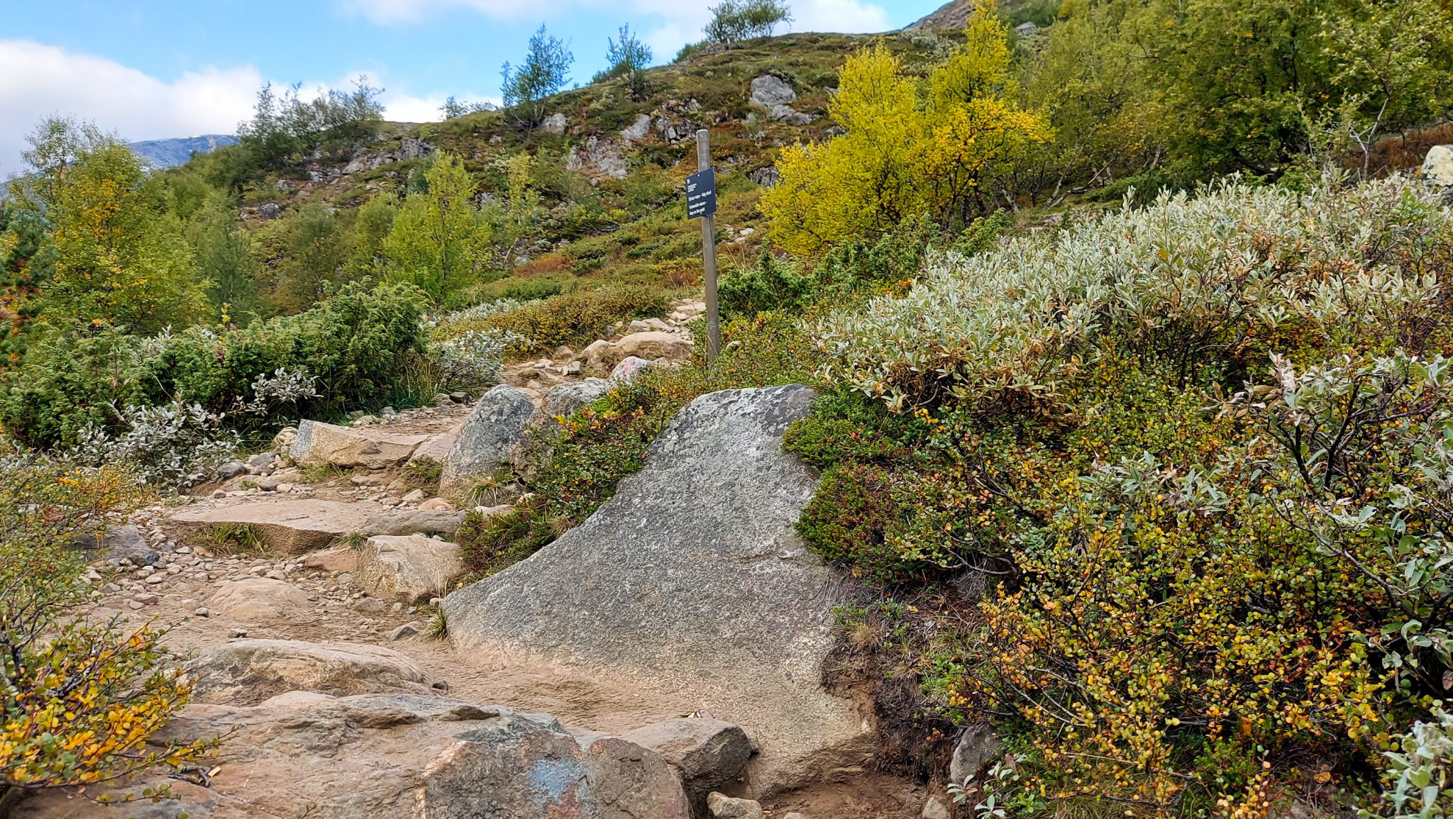Wanderung auf den höchsten Berg Norwegens - der Galdhøpiggen ab Spiterstulen im Jotunheimen Nationalpark, auch höchster Berg Skandinaviens und Nordeuropas mit 2469 Höhenmetern, Blick auf den Wanderweg auf den Galdhøpiggen