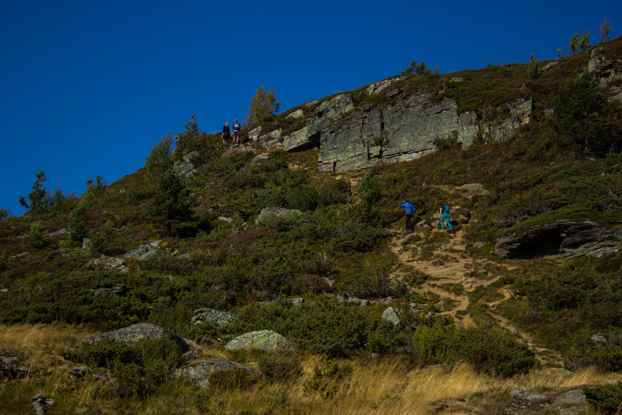 Wanderung auf den Molden mit Aussicht auf den Lustrafjord bei Hafslo in Vestland, Norwegen, Start beim Wanderparkplatz Molden in der Nähe der Sognefjellet Straße, der letzte Abschnitt des Wanderweges führt steiler bergauf