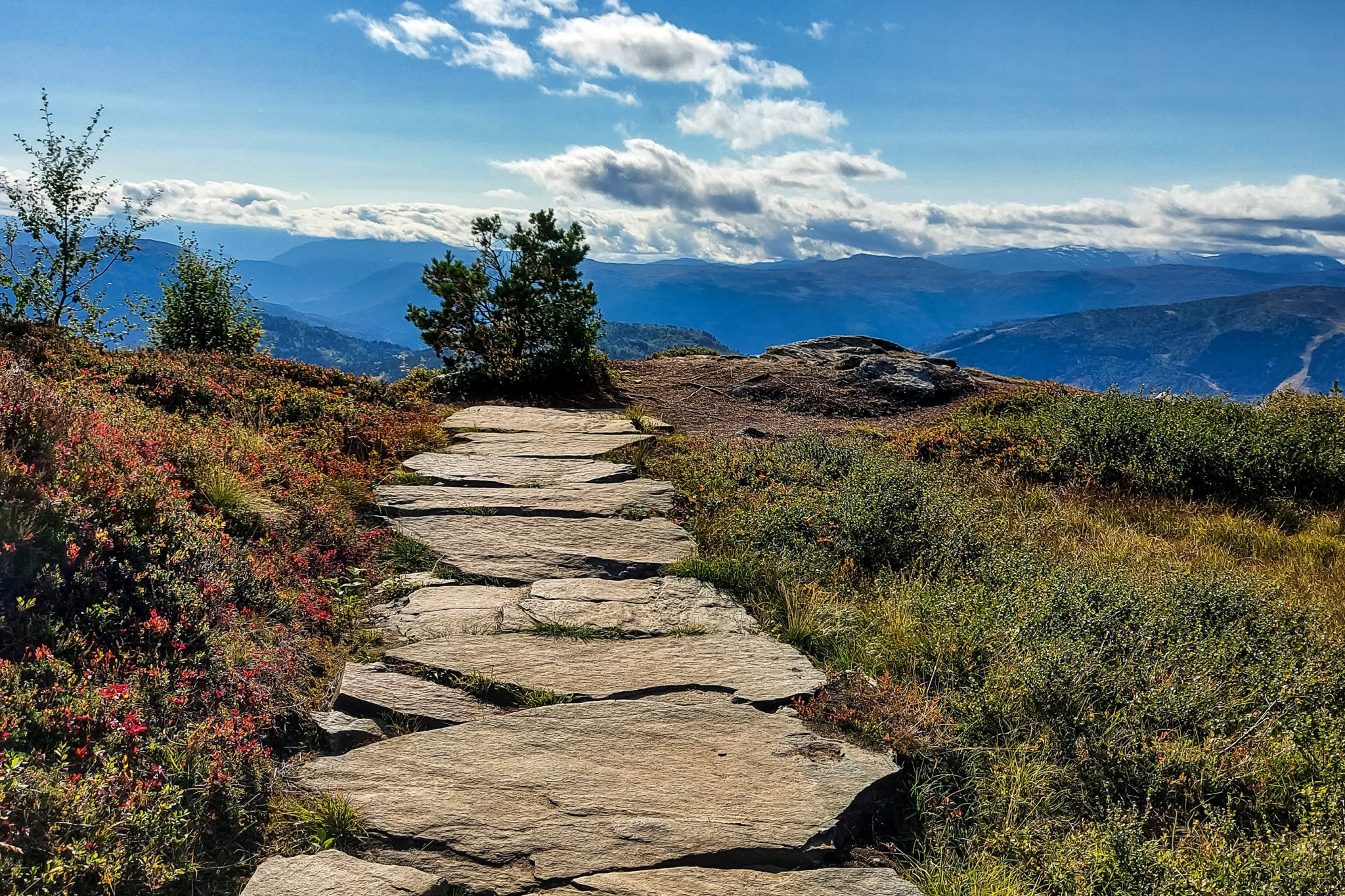 Wanderung auf den Molden mit Aussicht auf den Lustrafjord bei Hafslo in Vestland, Norwegen, Start beim Wanderparkplatz Molden in der Nähe der Sognefjellet Straße