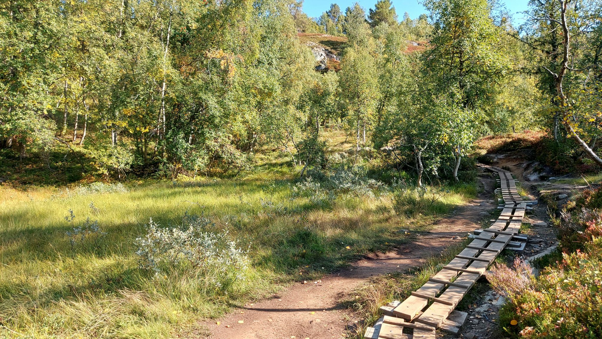 Wanderung auf den Molden mit Aussicht auf den Lustrafjord bei Hafslo in Vestland, Norwegen, Start beim Wanderparkplatz Molden in der Nähe der Sognefjellet Straße, Wanderweg führt zu Beginn durch einen Wald, teilweise Befestigung mit Holzbalken