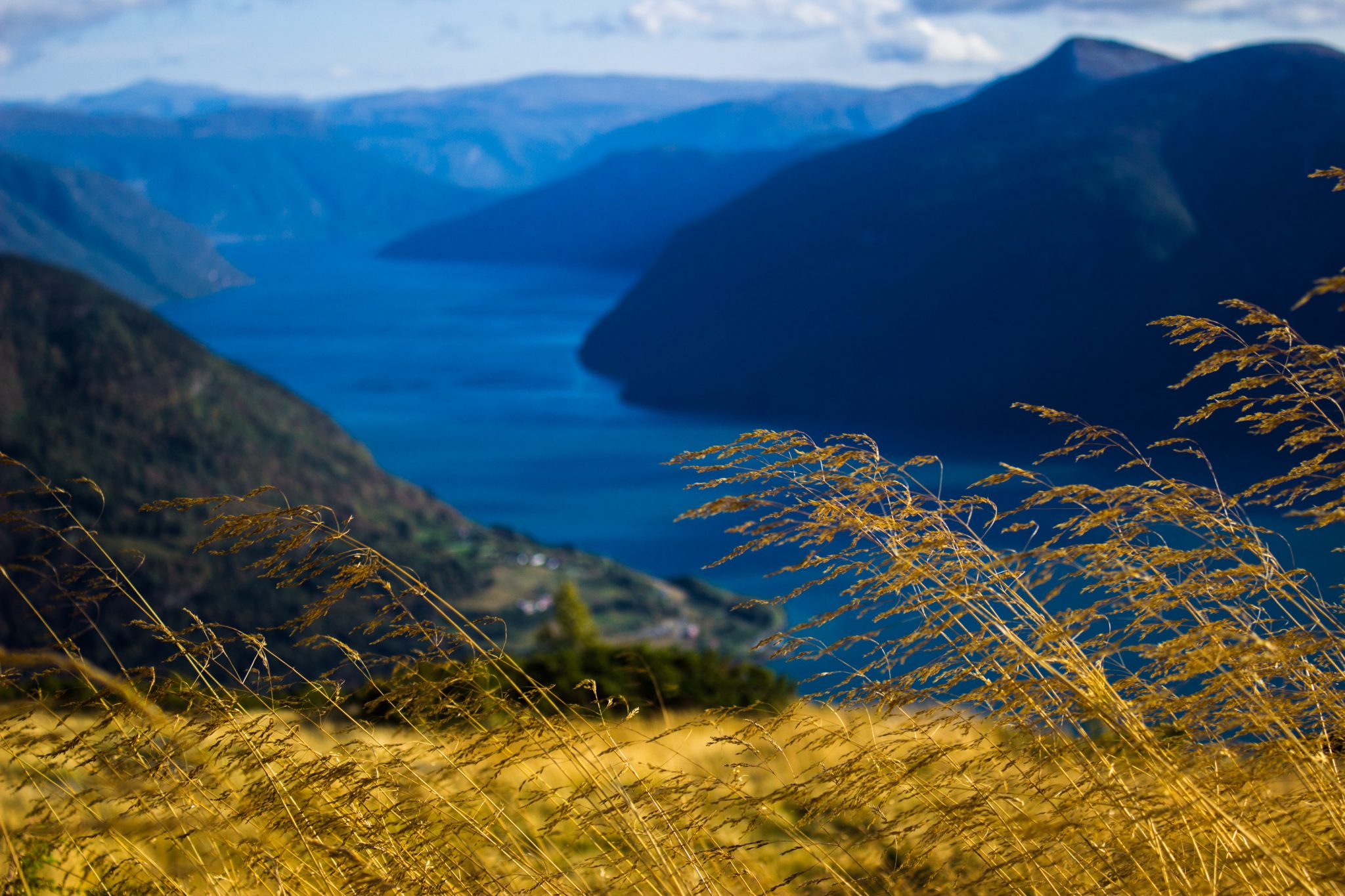 Wanderung auf den Molden mit Aussicht auf den Lustrafjord bei Hafslo in Vestland, Norwegen, Start beim Wanderparkplatz Molden in der Nähe der Sognefjellet Straße, traumhafte Aussichten während des Rundweges auf dem Molden