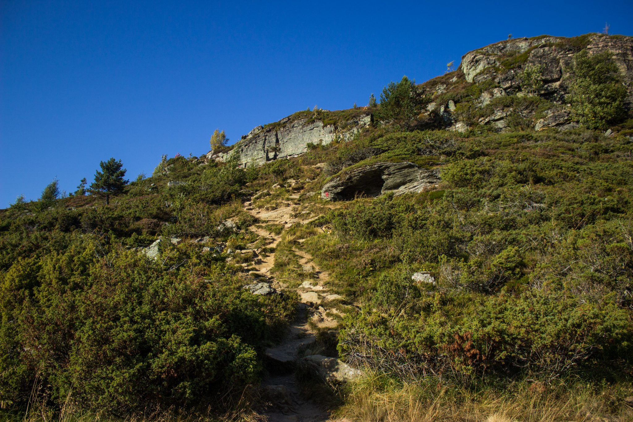 Wanderung auf den Molden mit Aussicht auf den Lustrafjord bei Hafslo in Vestland, Norwegen, Start beim Wanderparkplatz Molden in der Nähe der Sognefjellet Straße, schmaler Wanderweg, teilweise aber auch ziemlich ausgetreten