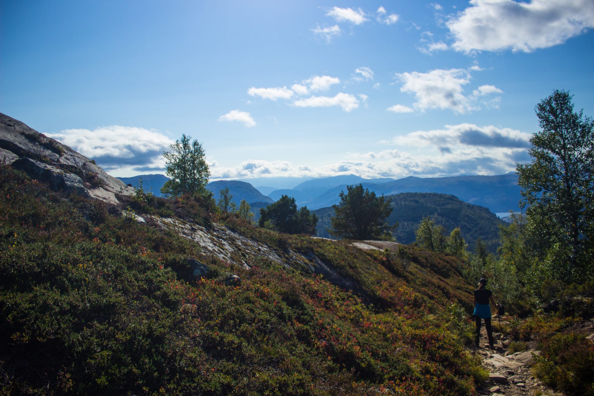 Wanderung auf den Molden mit Aussicht auf den Lustrafjord bei Hafslo in Vestland, Norwegen, Start beim Wanderparkplatz Molden in der Nähe der Sognefjellet Straße, Erreichen der Baumgrenze