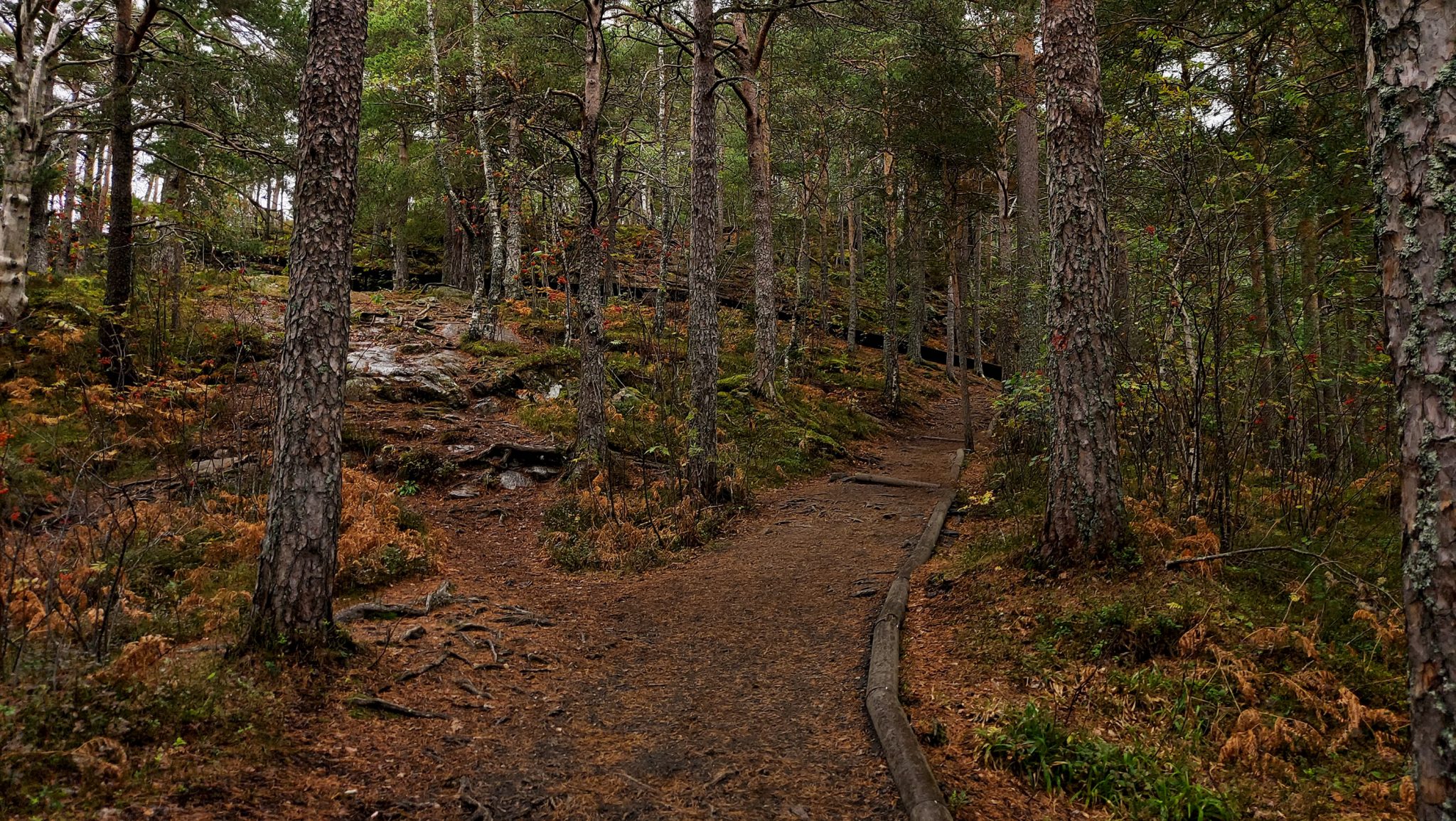 Wanderung auf den Nesaksla in Åndalsnes, Wandern in Norwegen, meist steiler Wanderweg, Weg ist ausgetreten, sehr beliebte Tour, Aussicht von oben ist grandios