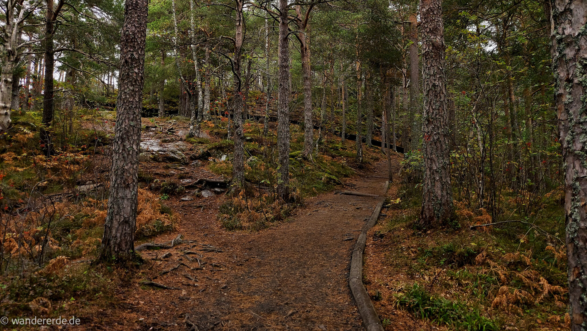 Wanderung auf den Nesaksla in Åndalsnes, Wandern in Norwegen, meist steiler Wanderweg, Weg ist ausgetreten, sehr beliebte Tour, Aussicht von oben ist grandios