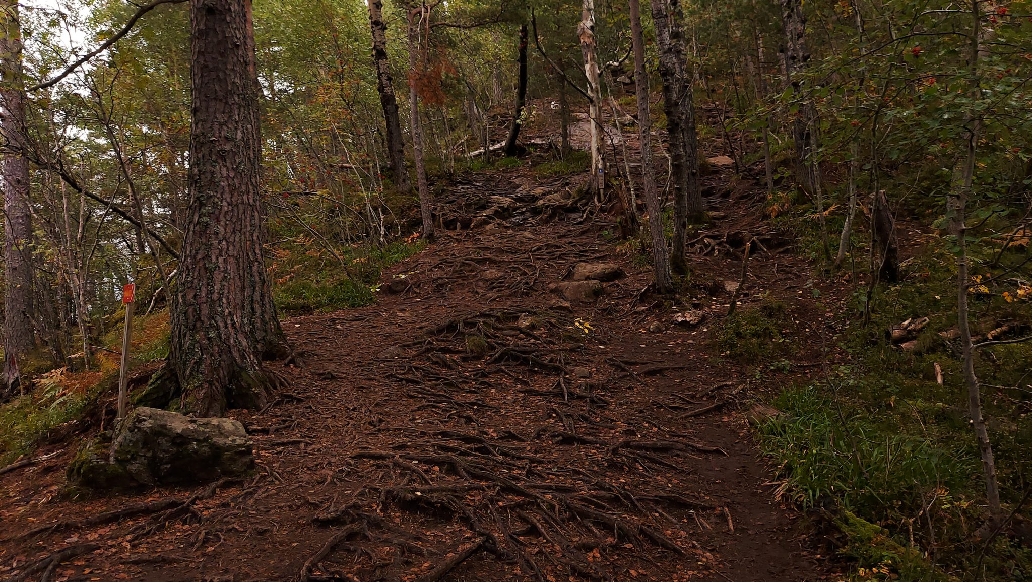 Wanderung auf den Nesaksla in Åndalsnes, Wandern in Norwegen, meist steiler Wanderweg, Weg ist ausgetreten, sehr beliebte Tour, Aussicht von oben ist grandios