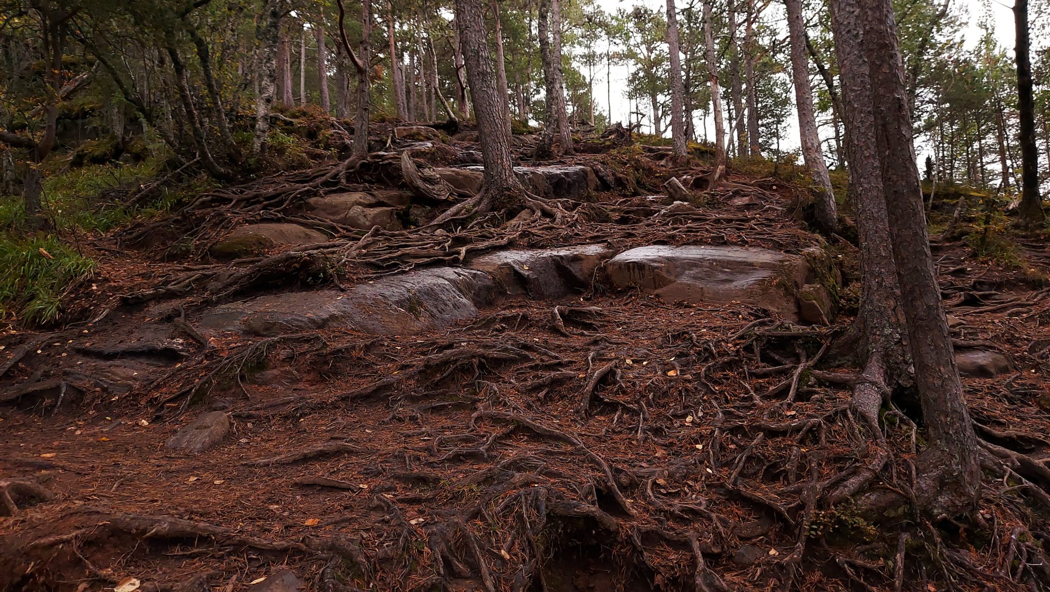 Wanderung auf den Nesaksla in Åndalsnes, Wandern in Norwegen, meist steiler Wanderweg, Weg ist ausgetreten, sehr beliebte Tour, Aussicht von oben ist grandios
