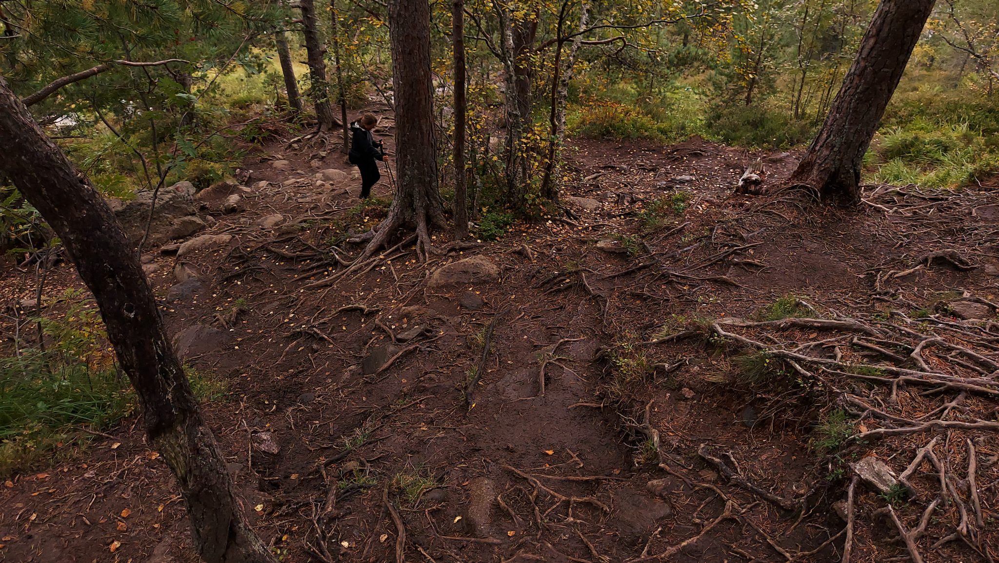 Wanderung auf den Nesaksla in Åndalsnes, Wandern in Norwegen, meist steiler Wanderweg, Weg ist ausgetreten, sehr beliebte Tour, Aussicht von oben ist grandios