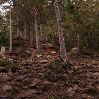Wanderung auf den Nesaksla in Åndalsnes, Wandern in Norwegen, meist steiler Wanderweg, Weg ist ausgetreten, sehr beliebte Tour, Aussicht von oben ist grandios