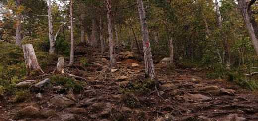 Wanderung auf den Nesaksla in Åndalsnes, Wandern in Norwegen, meist steiler Wanderweg, Weg ist ausgetreten, sehr beliebte Tour, Aussicht von oben ist grandios