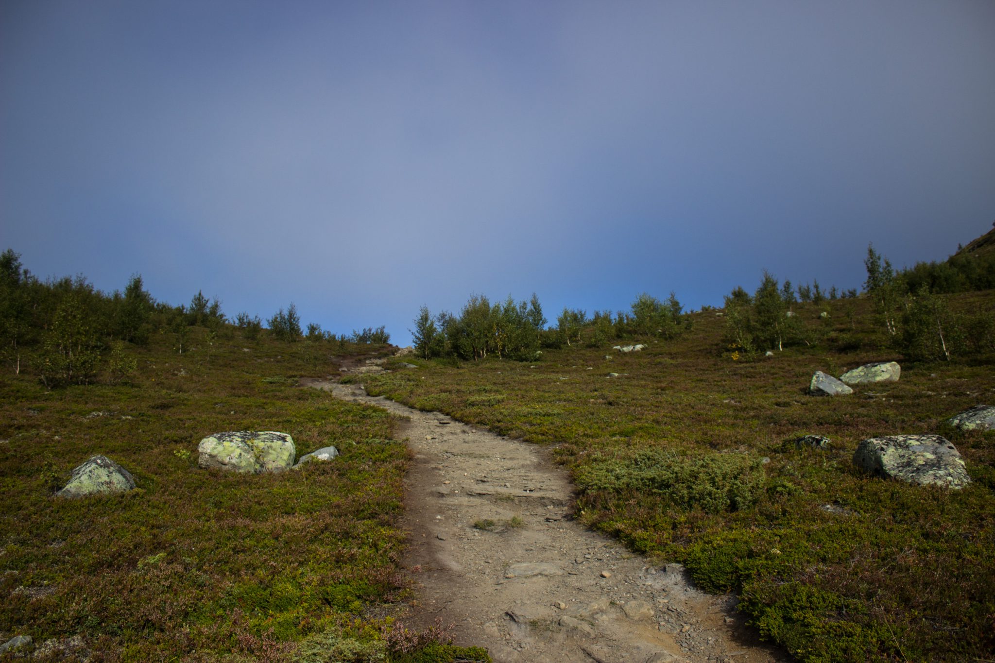 Wanderung beim Aurlandsfjord auf den Berg Prest in Aurland, Vestland, Norwegen, Start bei Straße Snøvegen über Aurlandsfjellet, Blick auf den Wanderweg auf den Prest Berg