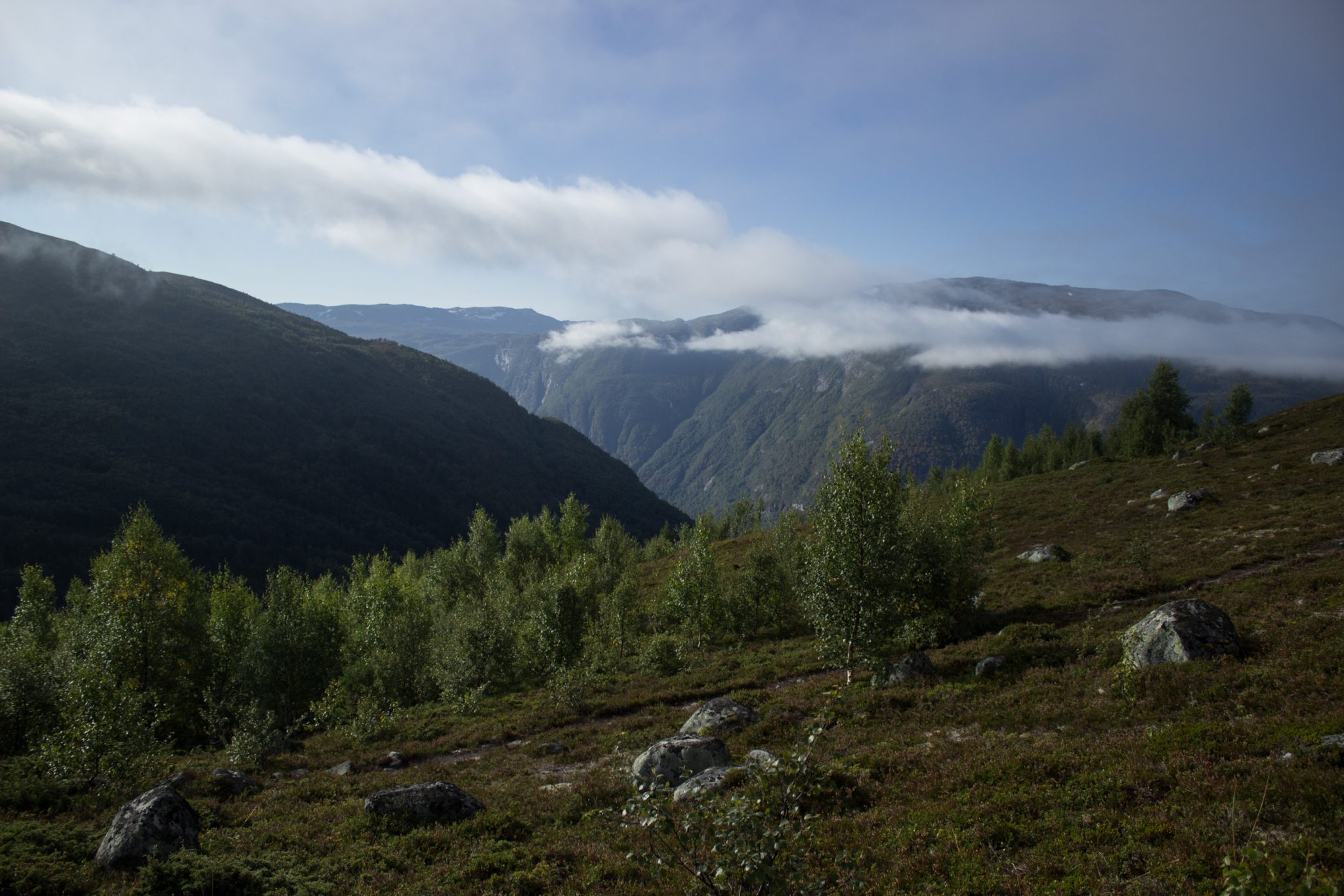 Wanderung beim Aurlandsfjord auf den Berg Prest in Aurland, Vestland, Norwegen, Start bei Straße Snøvegen über Aurlandsfjellet, Aussicht auf das Aurlandsfjellet