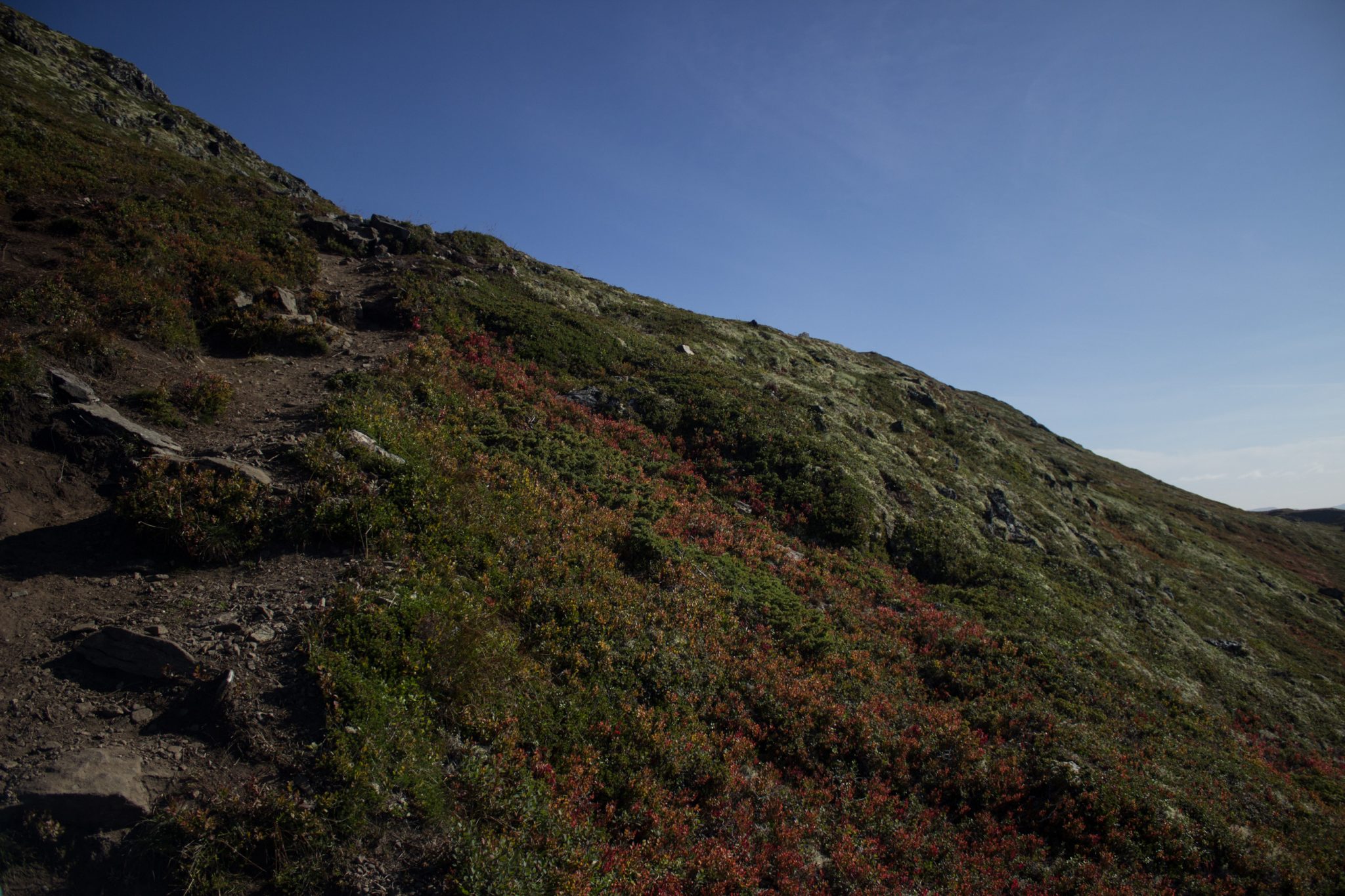 Wanderung beim Aurlandsfjord auf den Berg Prest in Aurland, Vestland, Norwegen, Start bei Straße Snøvegen über Aurlandsfjellet, Blick auf den Wanderweg auf den Prest Berg