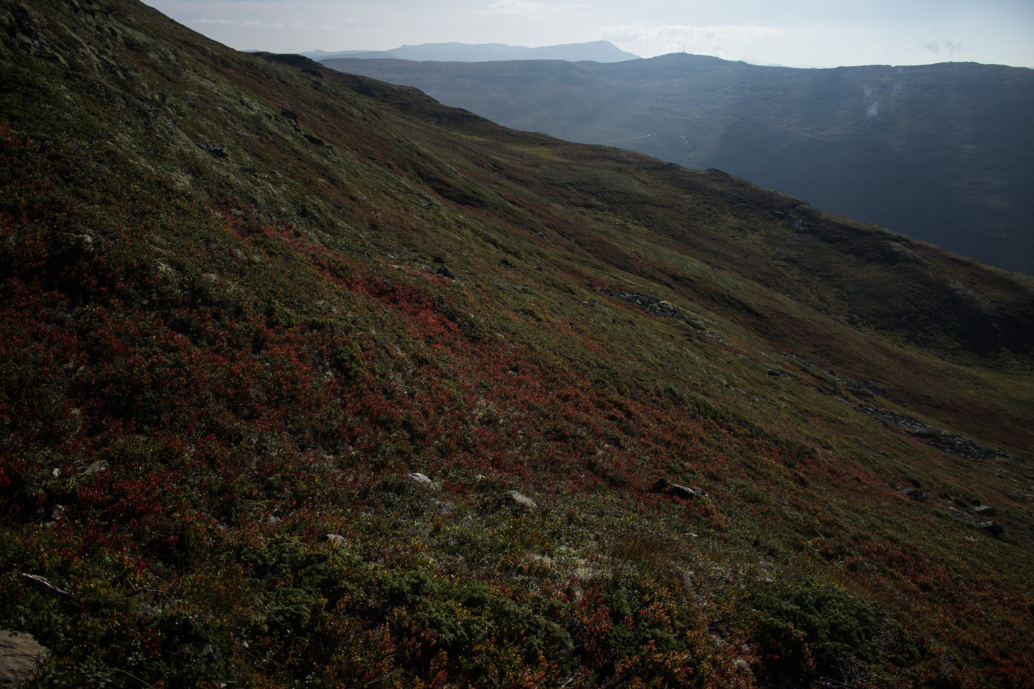 Wanderung beim Aurlandsfjord auf den Berg Prest in Aurland, Vestland, Norwegen, Start bei Straße Snøvegen über Aurlandsfjellet, Aussicht auf das Aurlandsfjellet