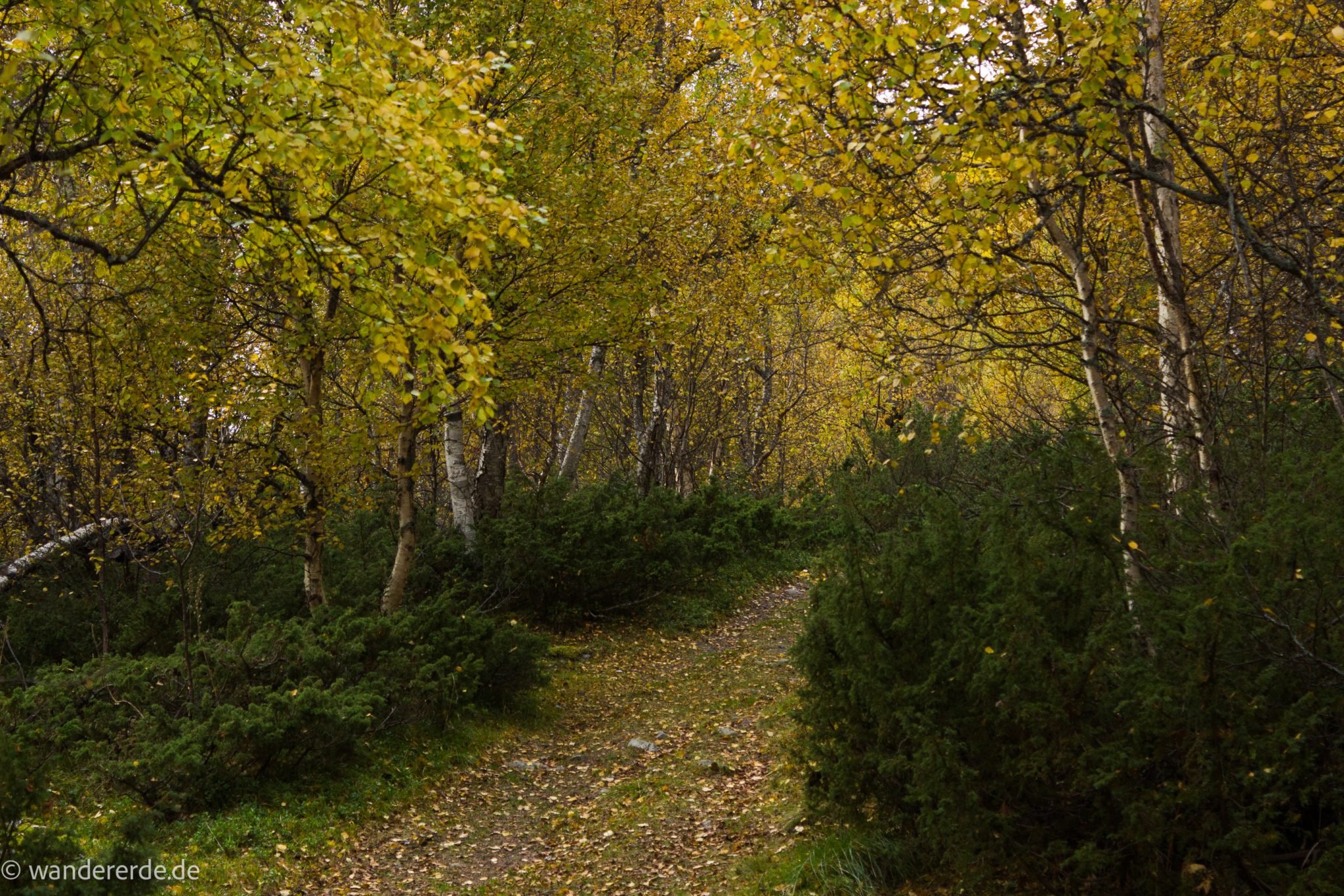 Wandern im herbstlichen Amotsdalen