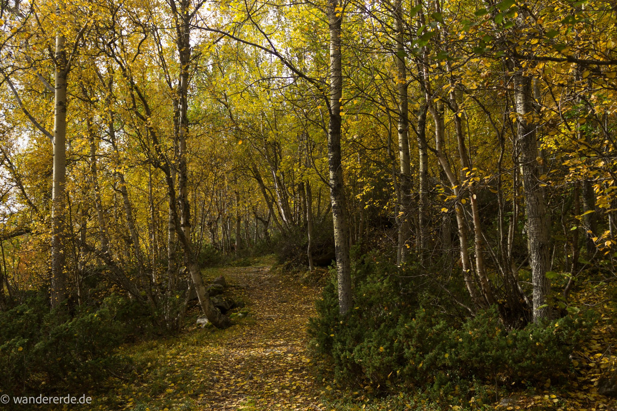 Wandern im herbstlichen Amotsdalen