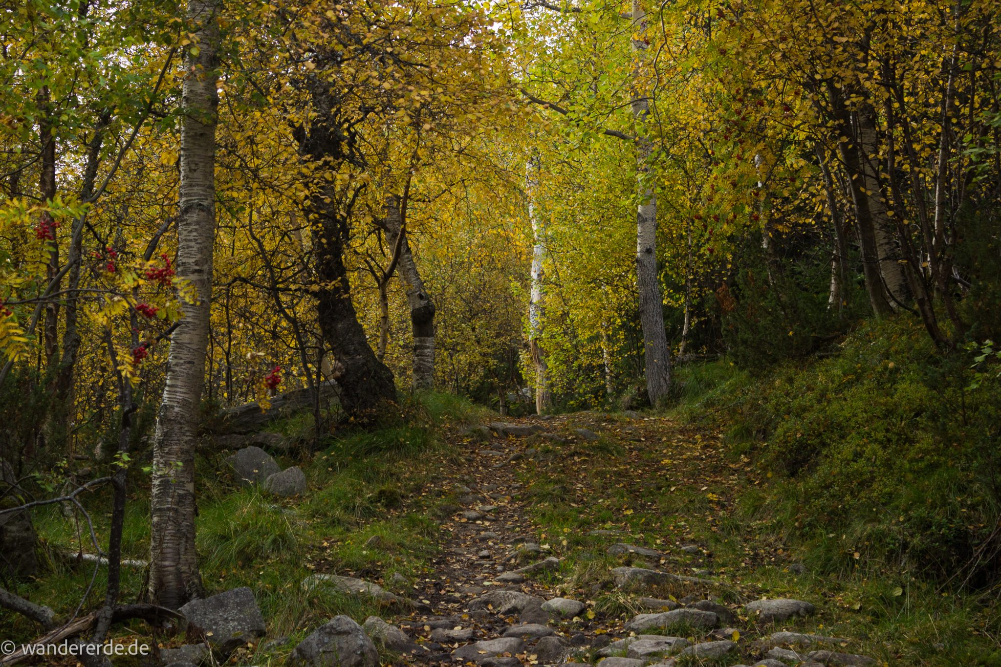 Wandern im herbstlichen Amotsdalen