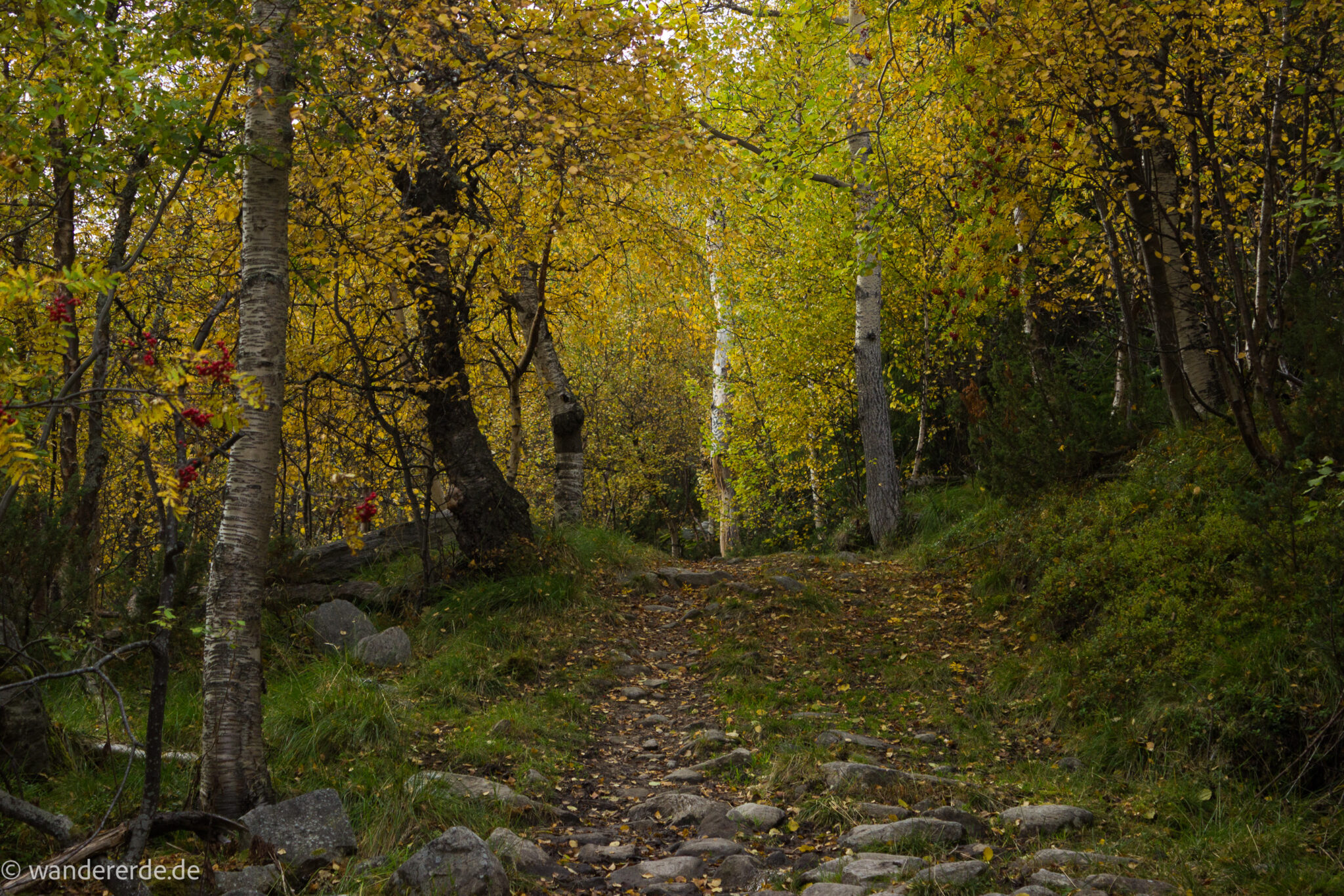 Wandern im herbstlichen Amotsdalen