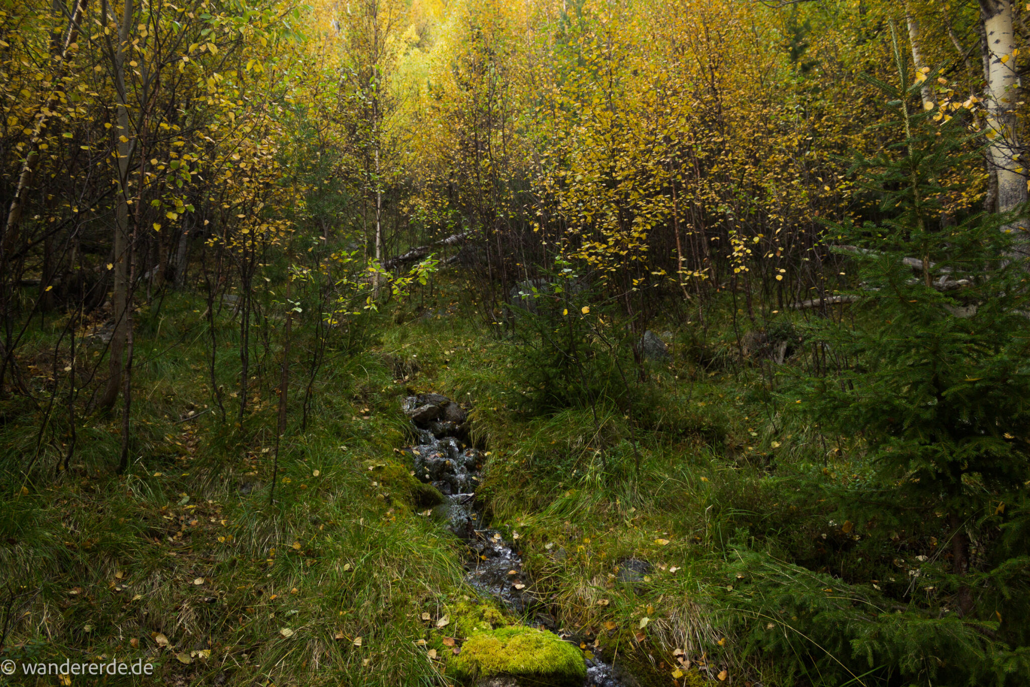 Wandern im herbstlichen Amotsdalen