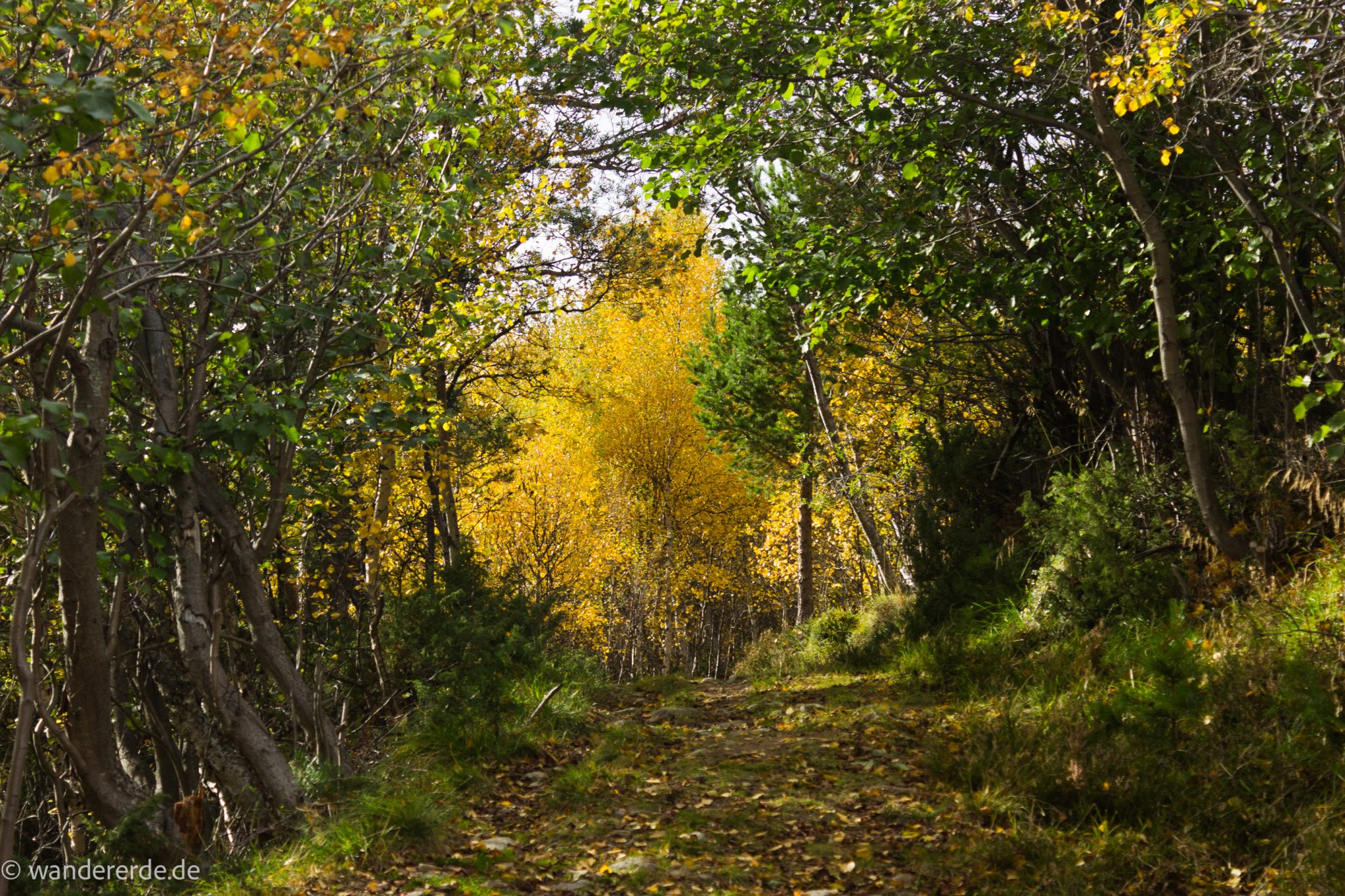 Wandern im herbstlichen Amotsdalen
