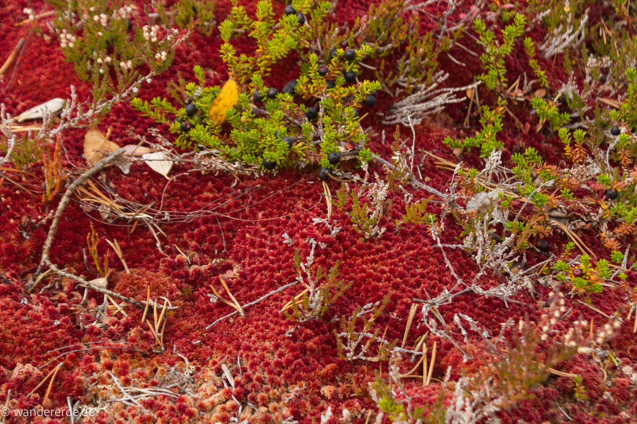 Wandern im herbstlichen Amotsdalen