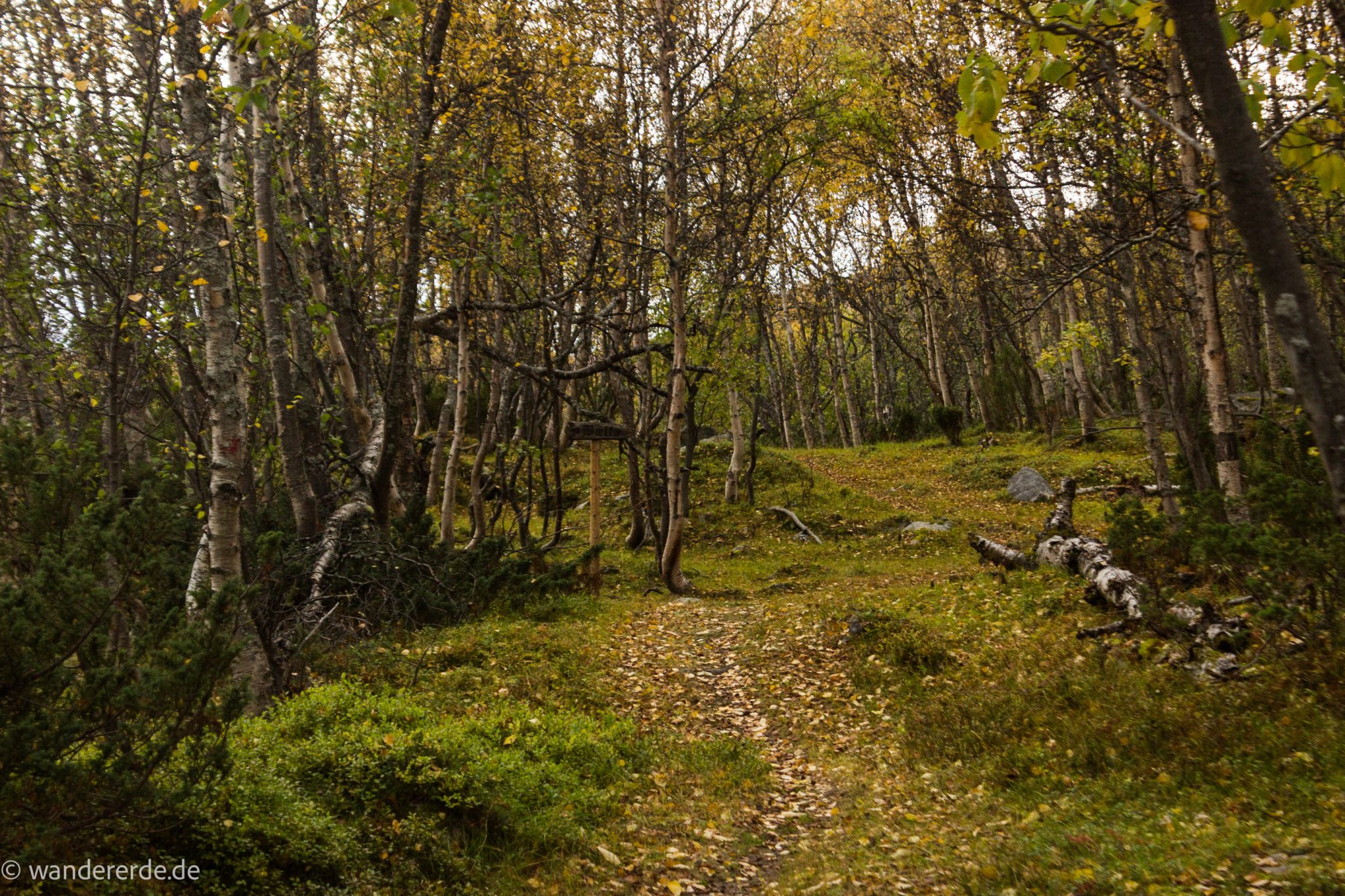 Wandern im herbstlichen Amotsdalen