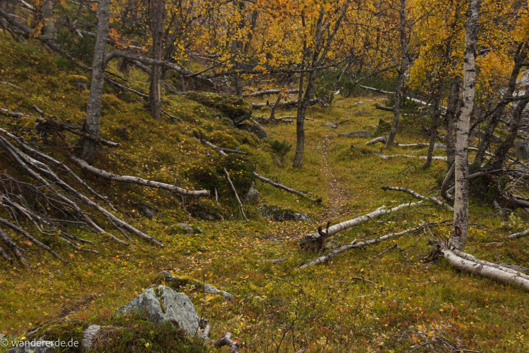 Wandern im herbstlichen Amotsdalen