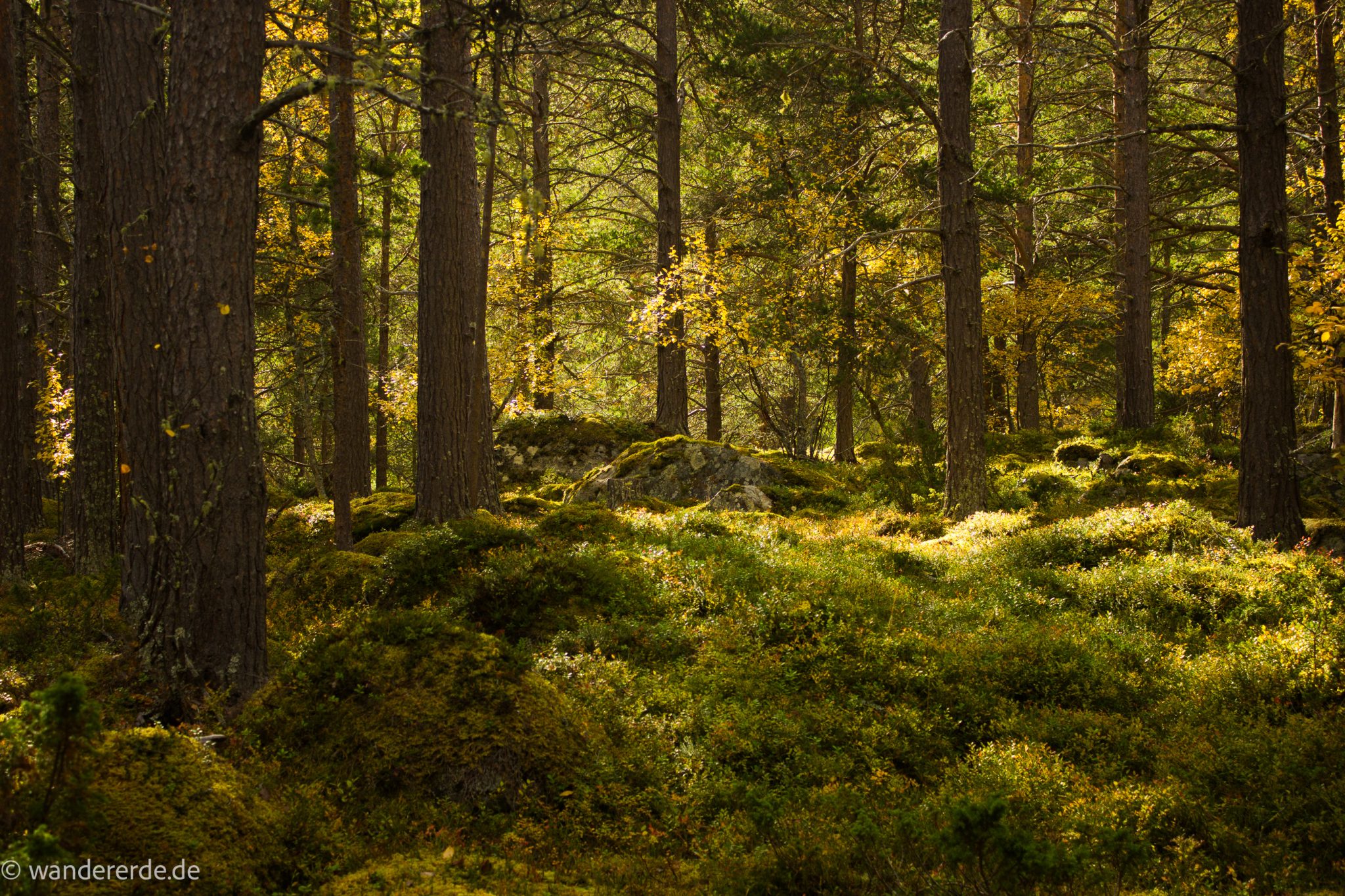 Wandern im herbstlichen Amotsdalen