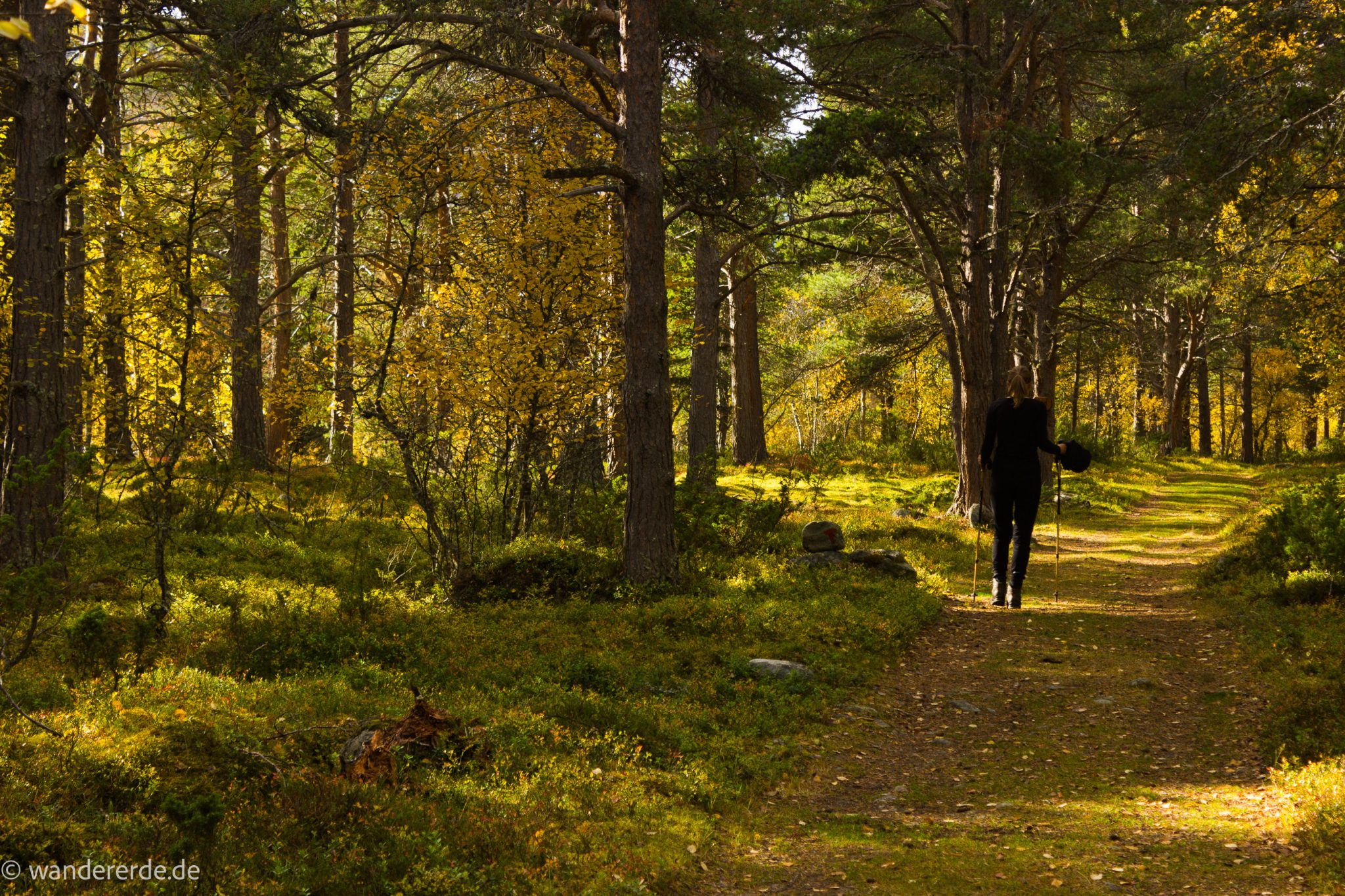 Wandern im herbstlichen Amotsdalen