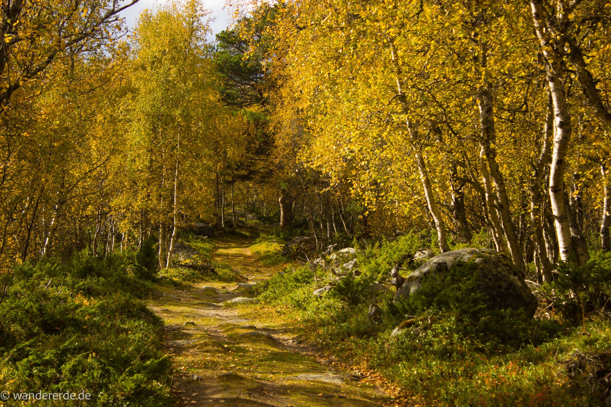 Wandern im herbstlichen Amotsdalen