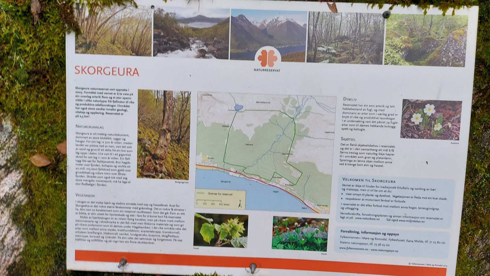 Wanderung im Naturreservat Skorgeura, Naturschutzgebiet in Norwegen, Übersichtskarte zum Naturreservat